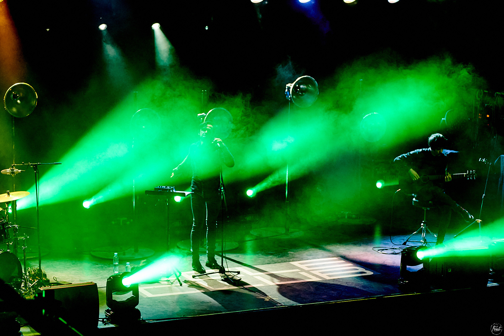 Дельфин. Фотографии отовсюду и обо всем