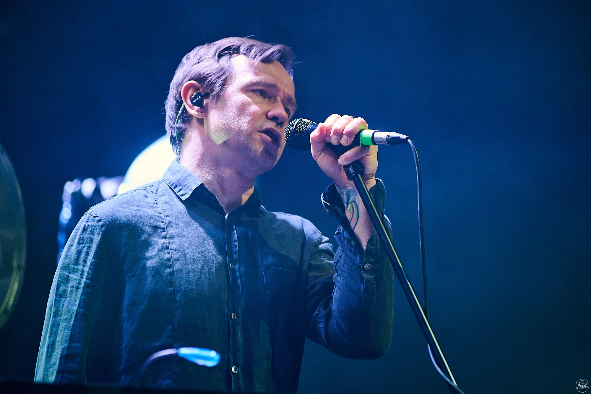 Дельфин. Фотографии отовсюду и обо всем