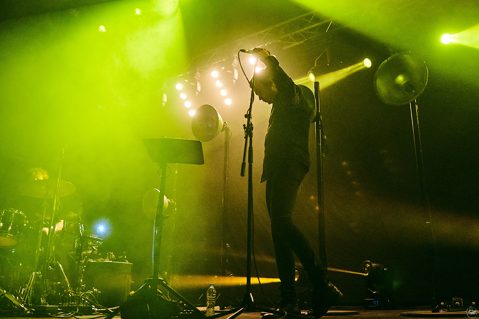 Дельфин. Фотографии отовсюду и обо всем