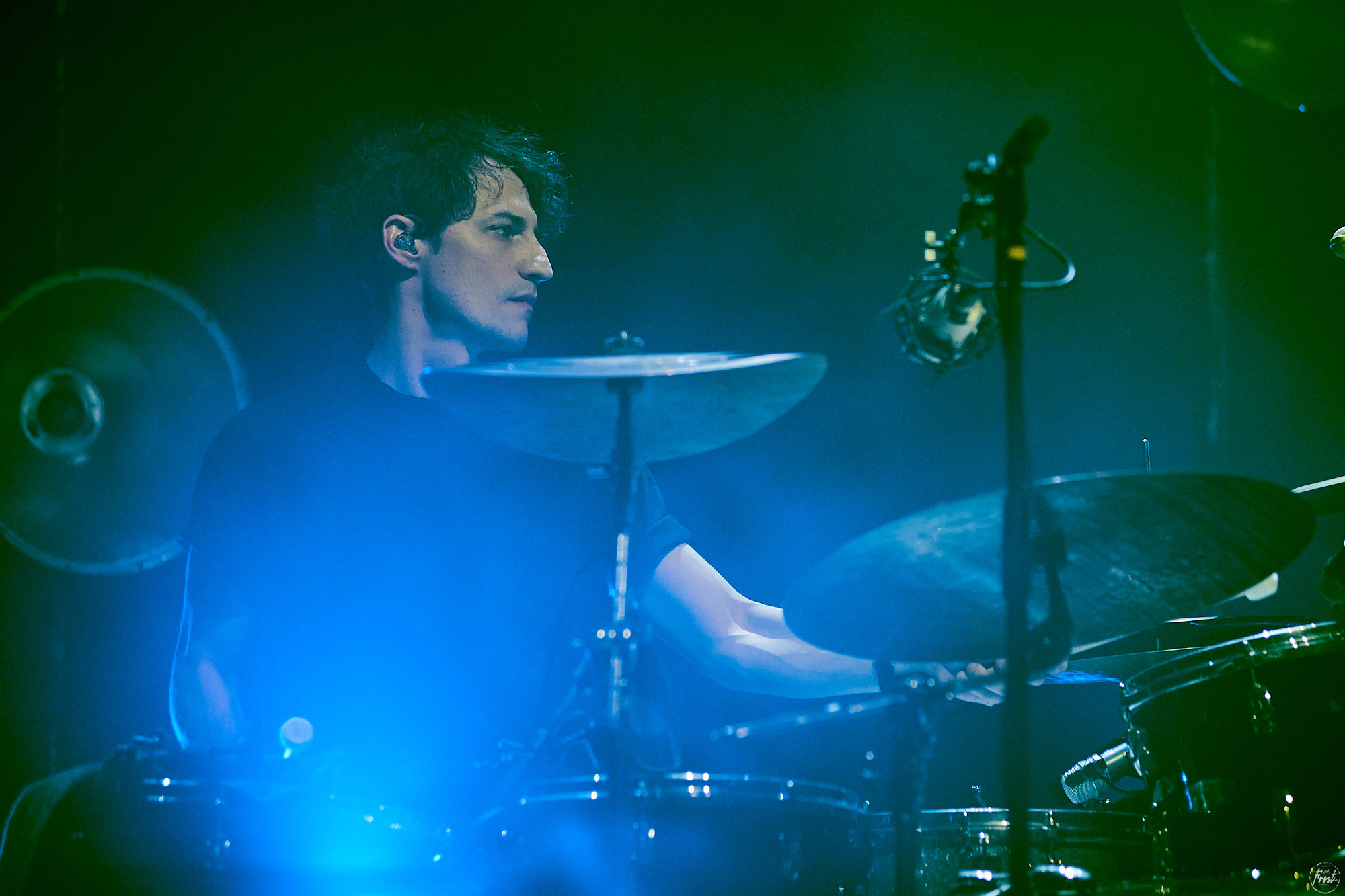 Дельфин. Фотографии отовсюду и обо всем