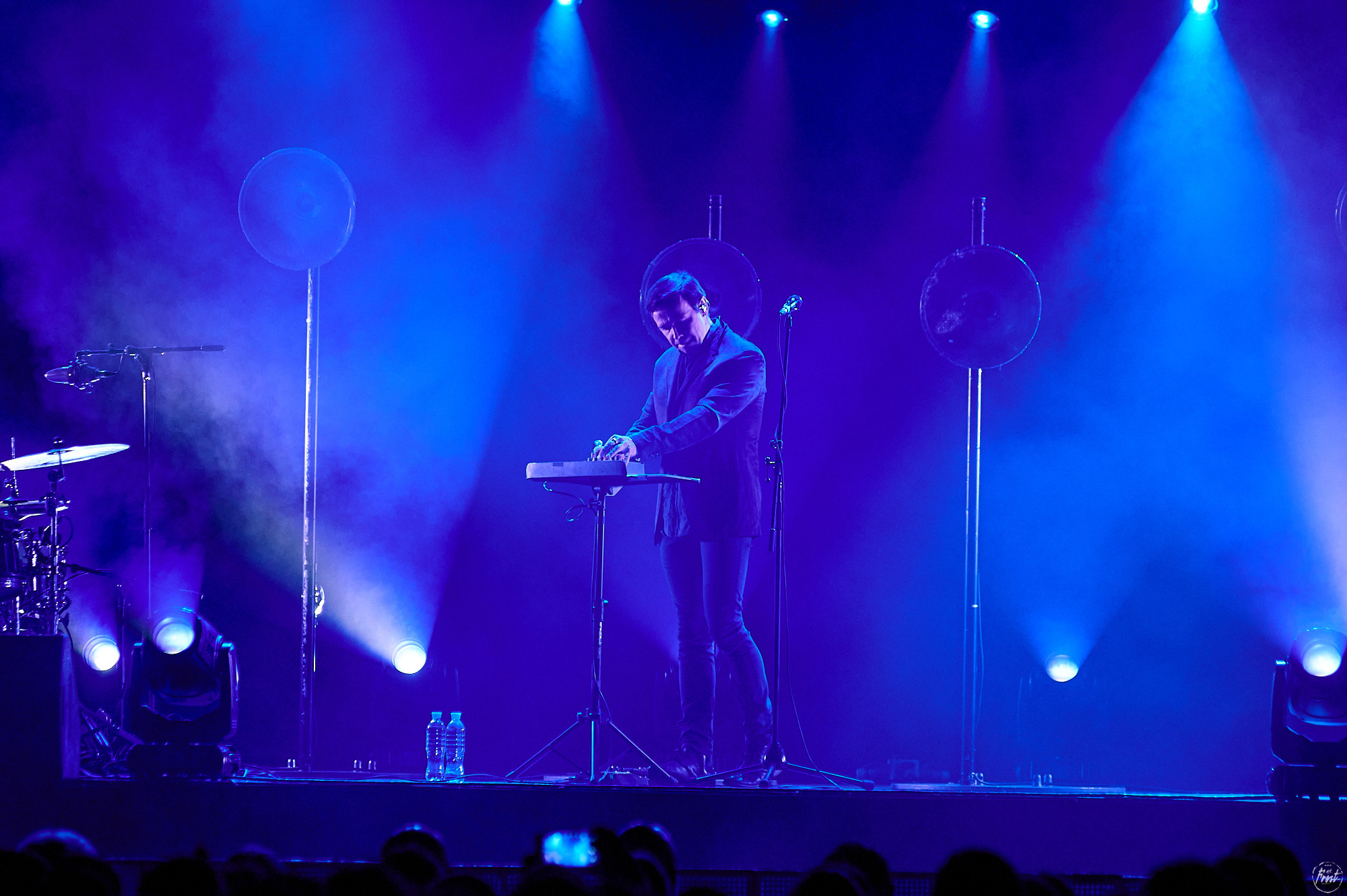 Дельфин. Фотографии отовсюду и обо всем