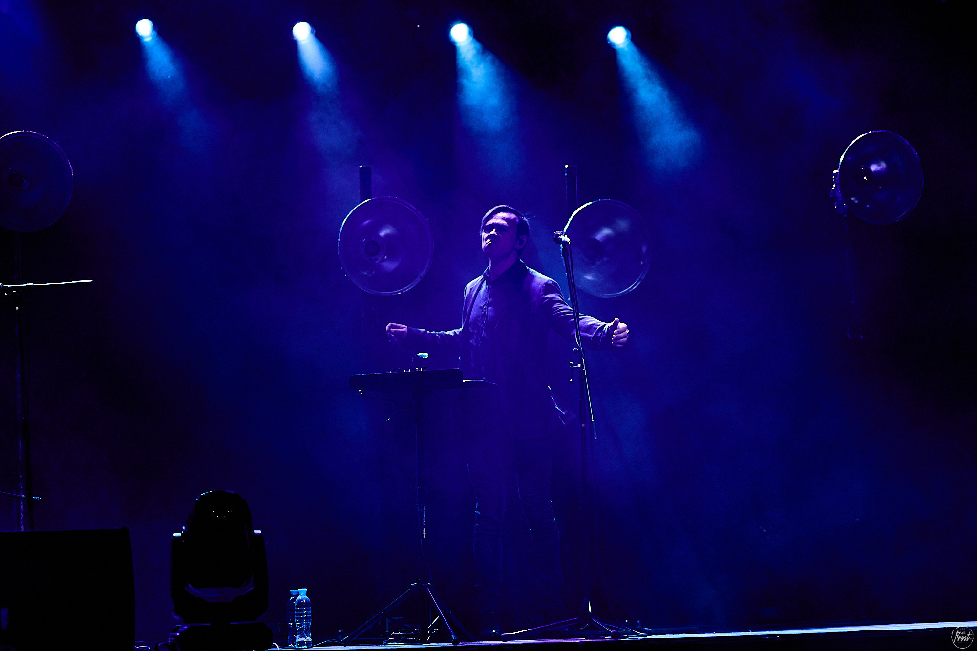 Дельфин. Фотографии отовсюду и обо всем