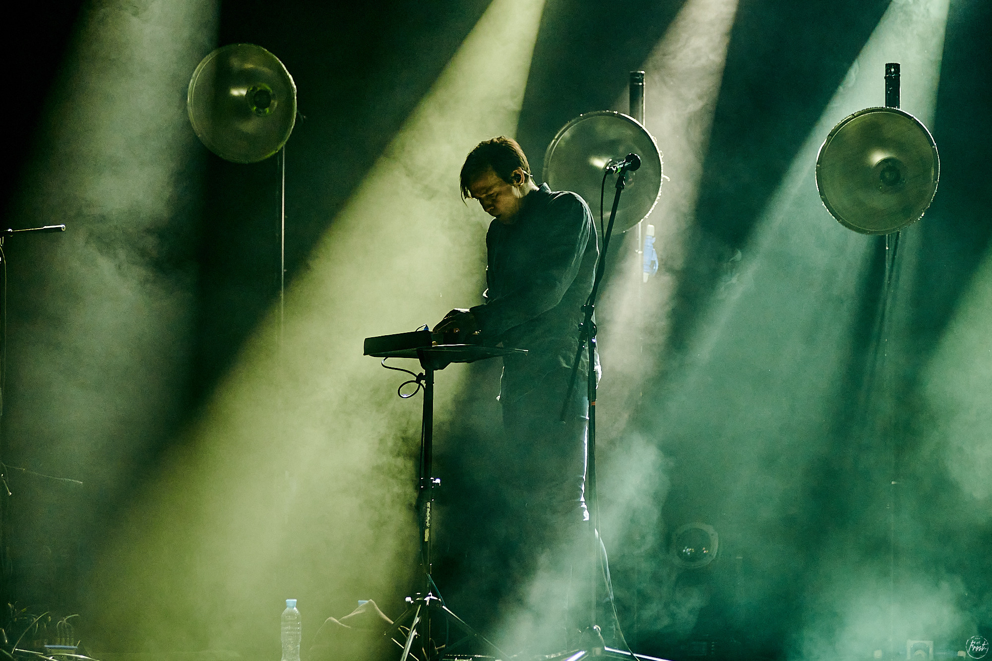 Дельфин. Фотографии отовсюду и обо всем