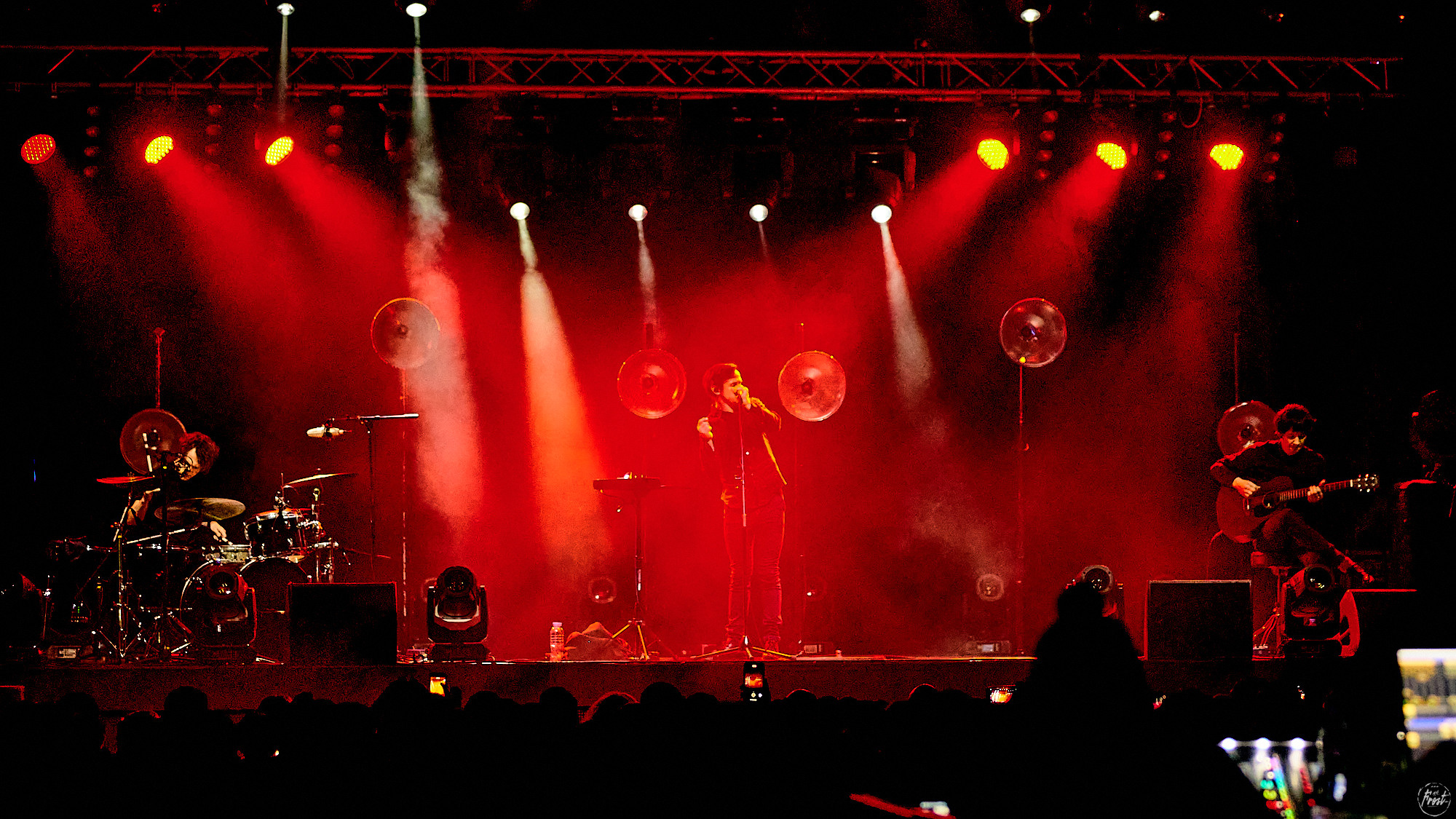 Дельфин. Фотографии отовсюду и обо всем