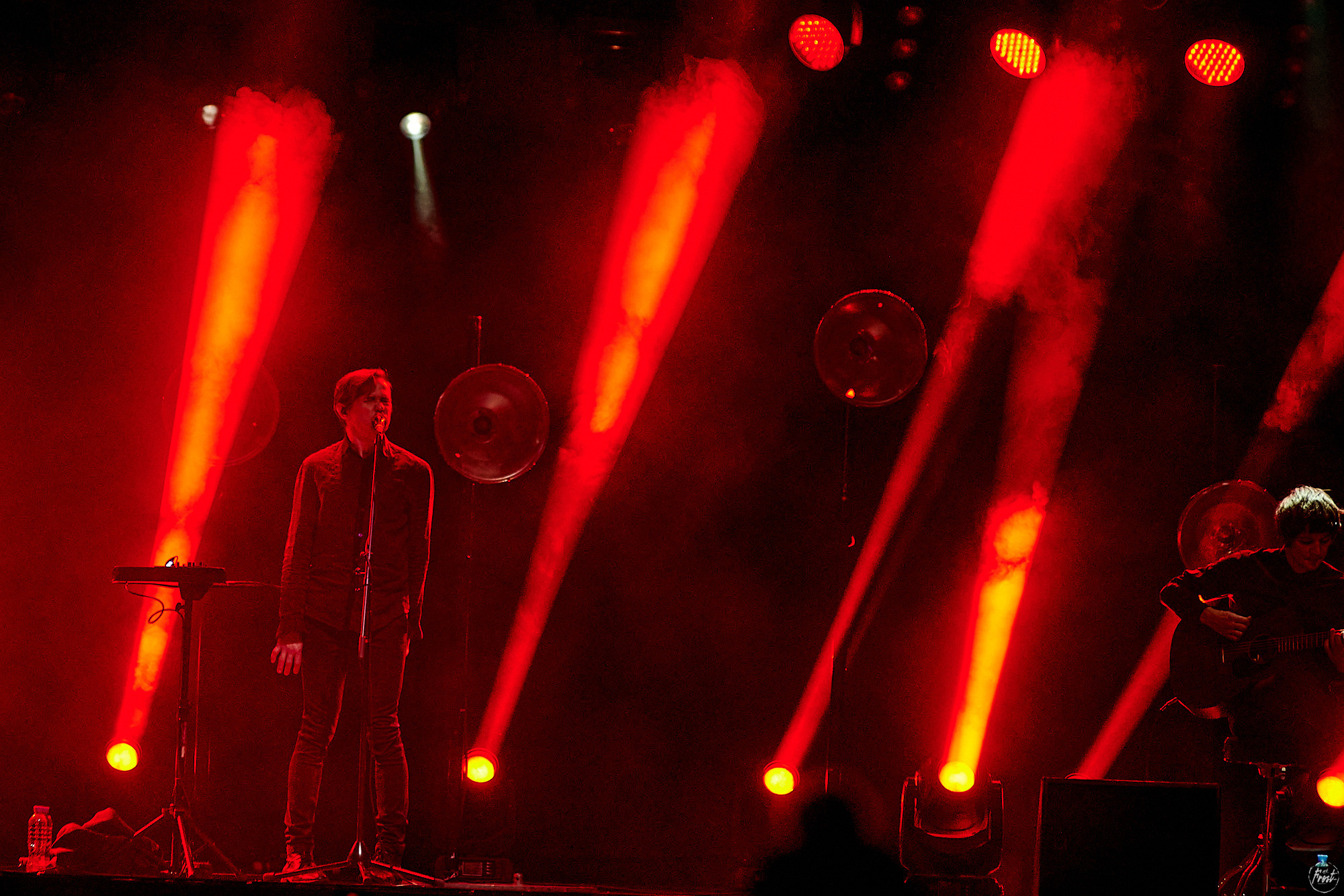 Дельфин. Фотографии отовсюду и обо всем