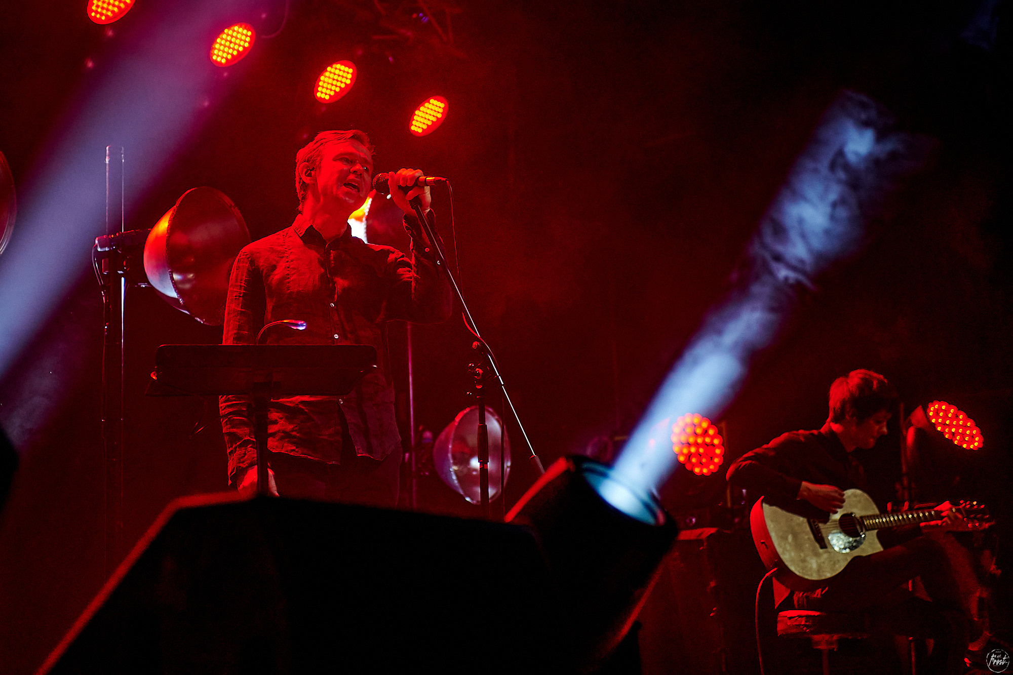 Дельфин. Фотографии отовсюду и обо всем