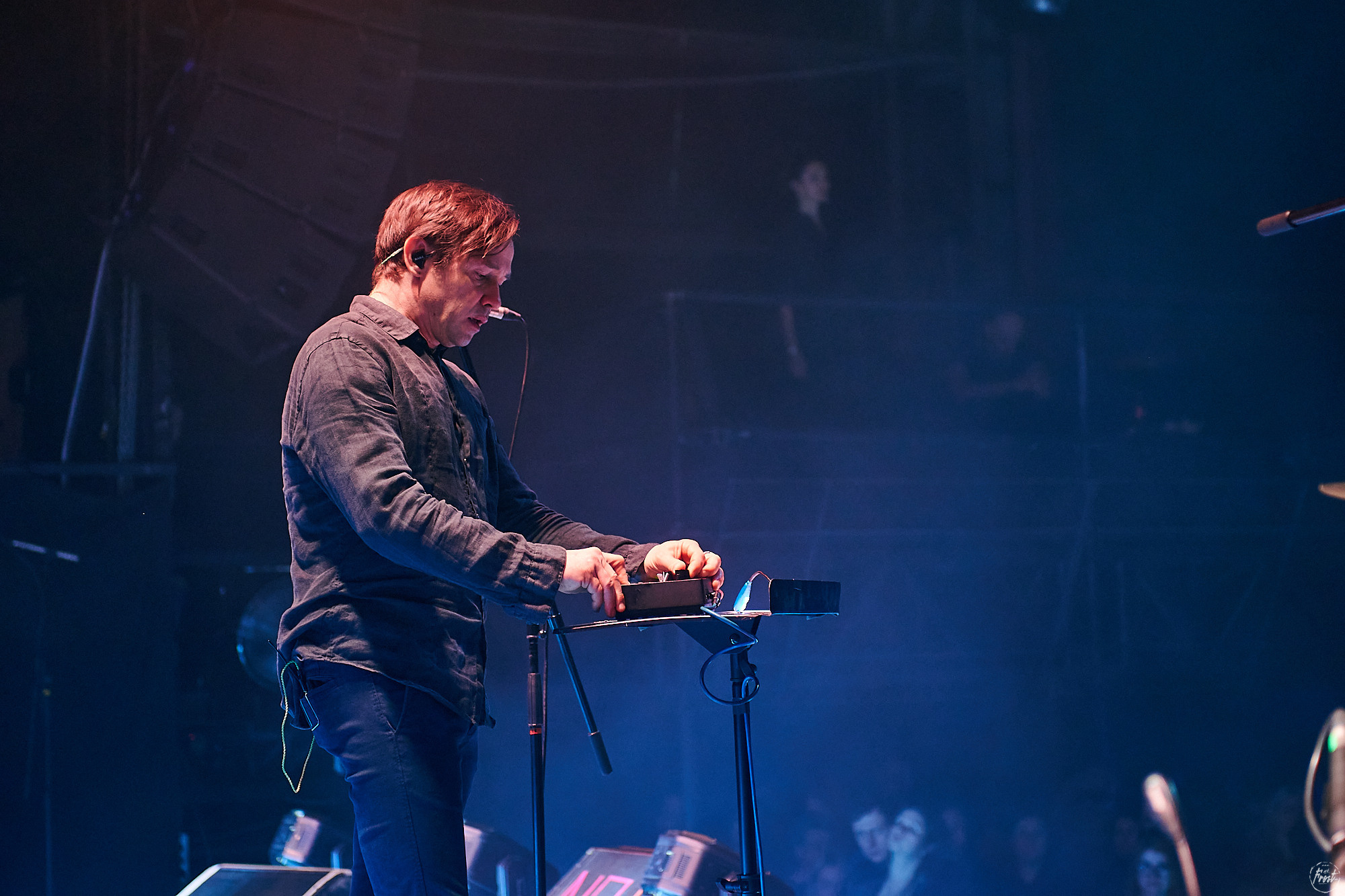 Дельфин. Фотографии отовсюду и обо всем