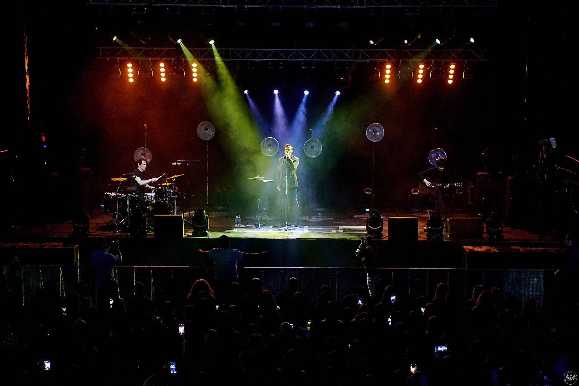 Дельфин. Фотографии отовсюду и обо всем