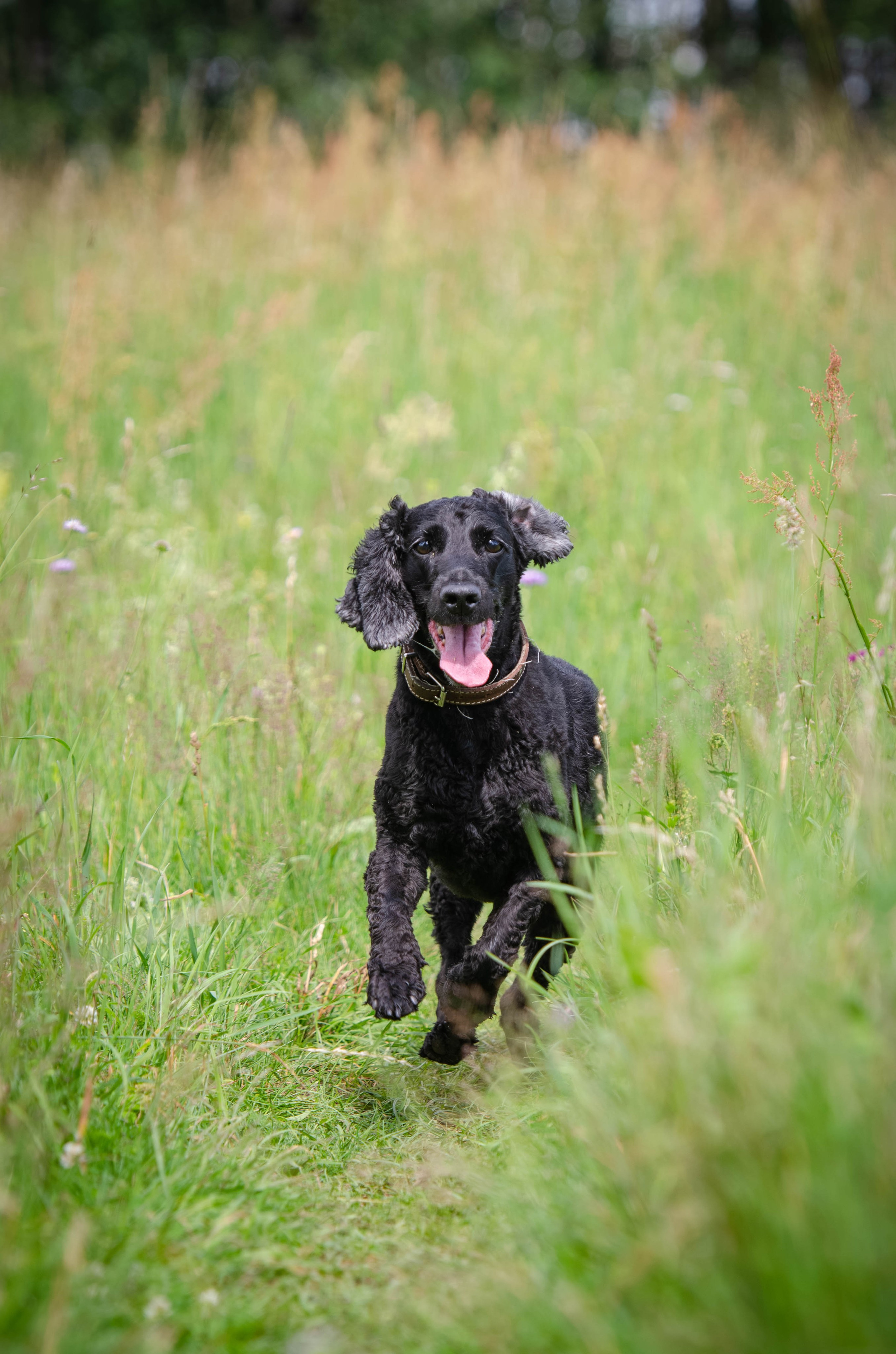 Прогулка (Лохин остров). Фотограф Светлана Блинова, Москва и Московская область