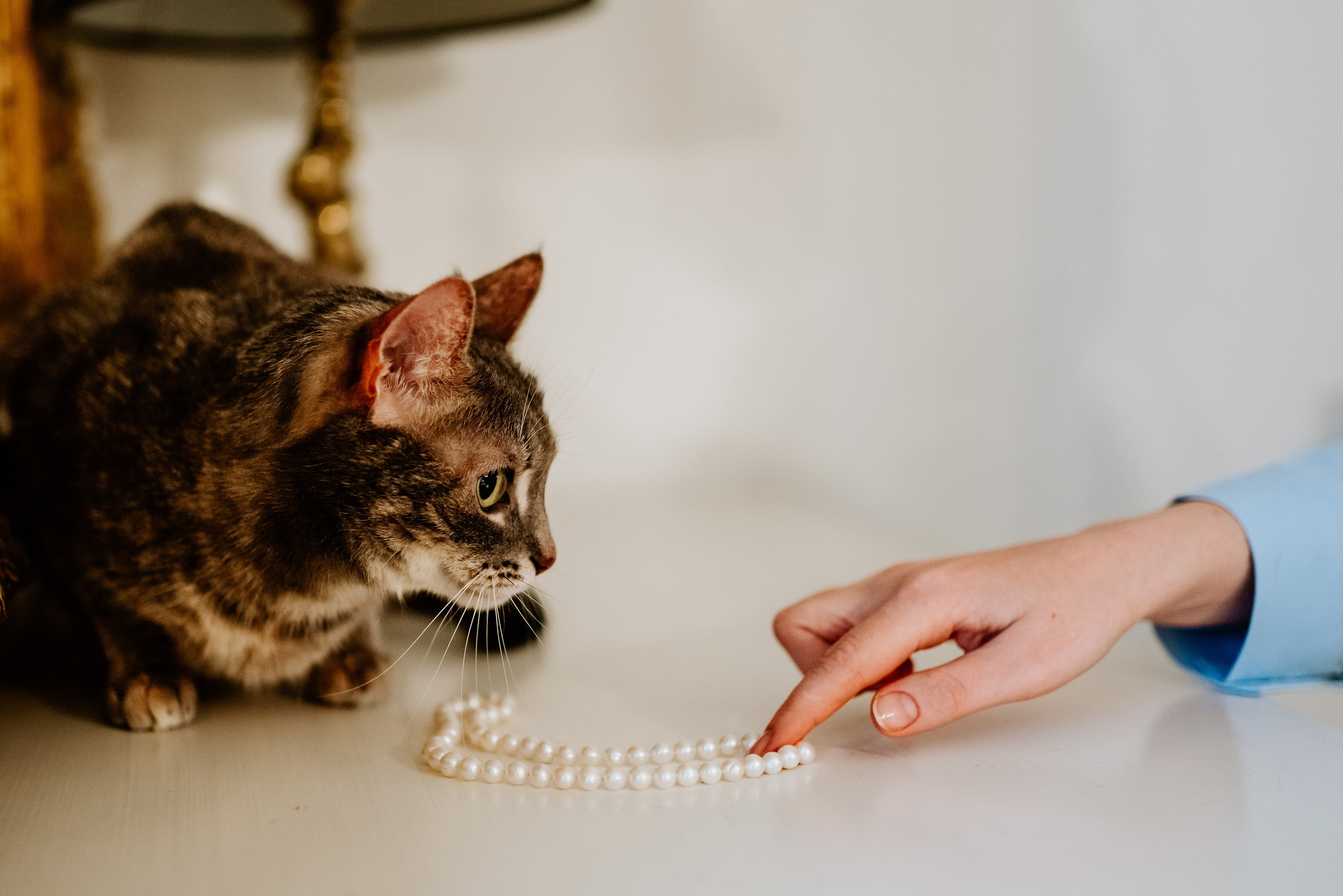 Натали и Иззи. Фотограф анималист в Спб недорого Олеся Майорова