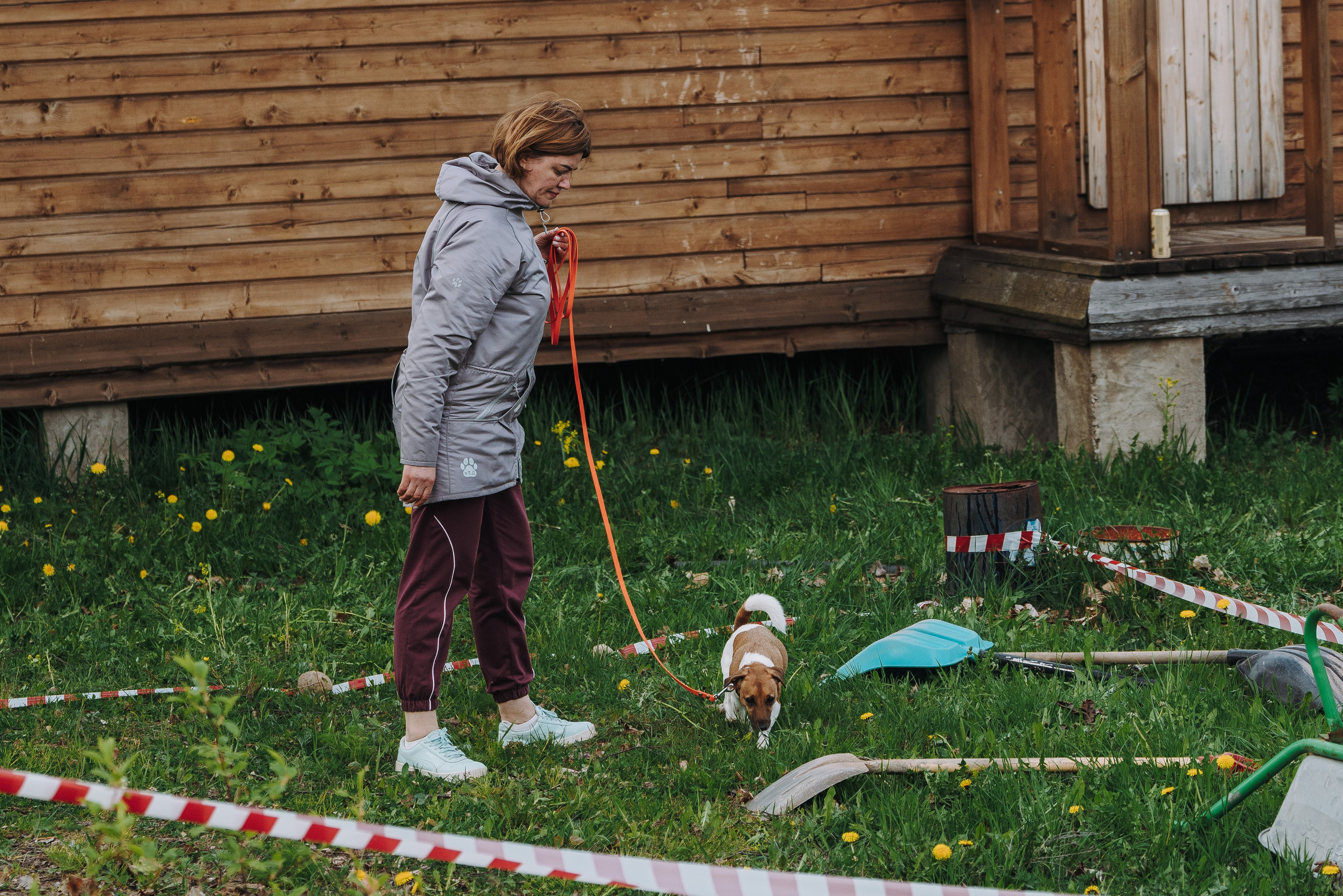 Соревнования по ноузворку в Лосево. Фотограф анималист в Спб недорого Олеся Майорова