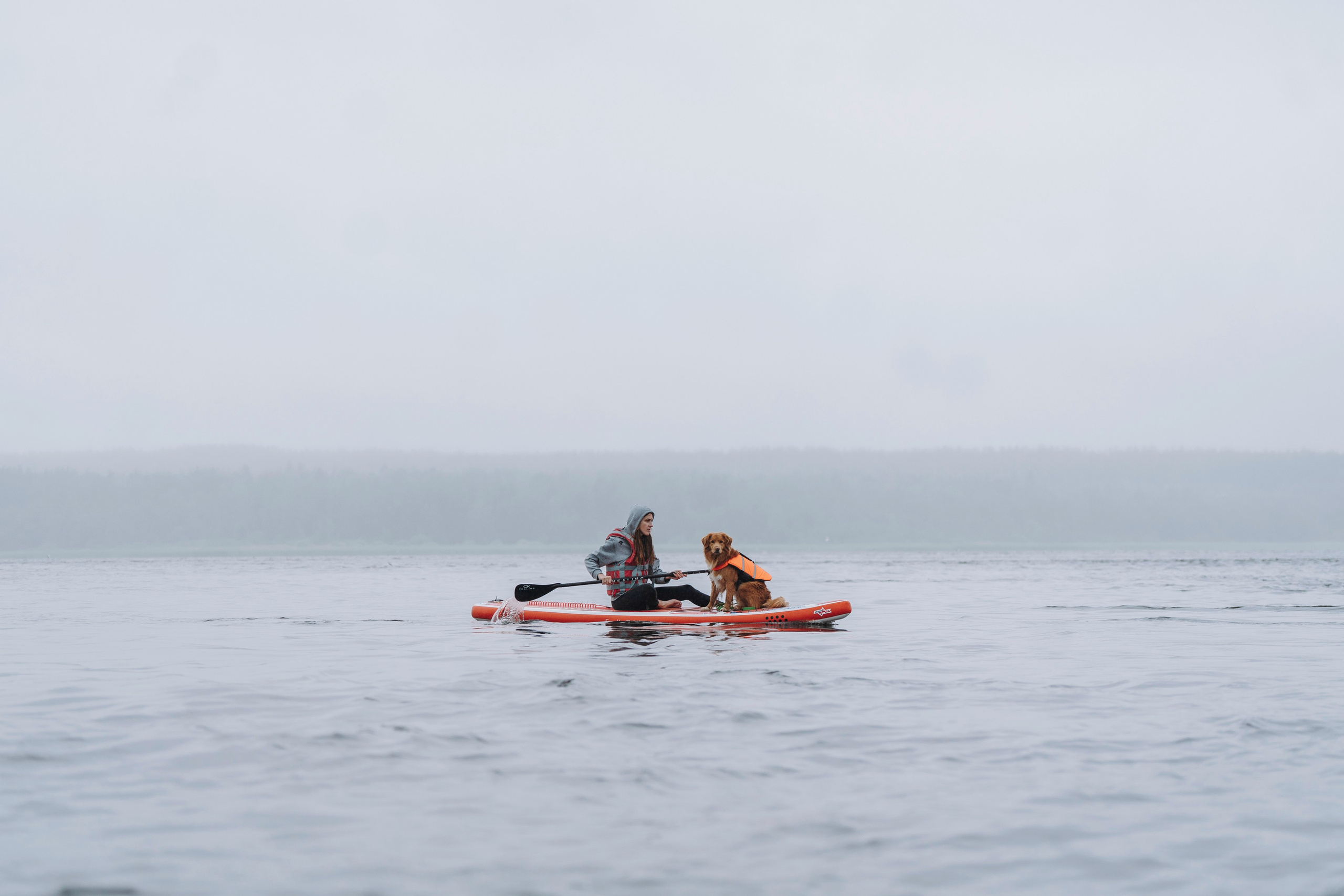Катание на сапах с собаками. Фотограф анималист в Спб недорого Олеся Майорова