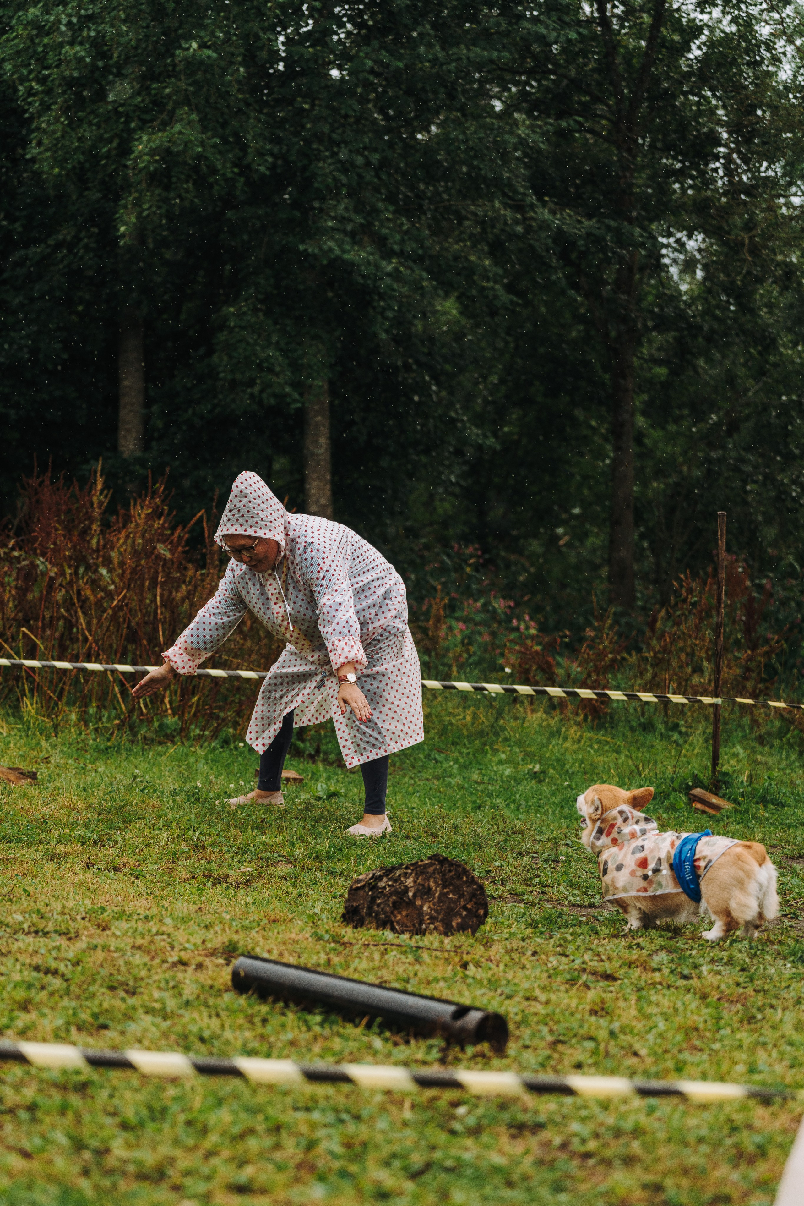 Соревнования по ноузворку в Новожилово. Фотограф анималист в Спб недорого Олеся Майорова