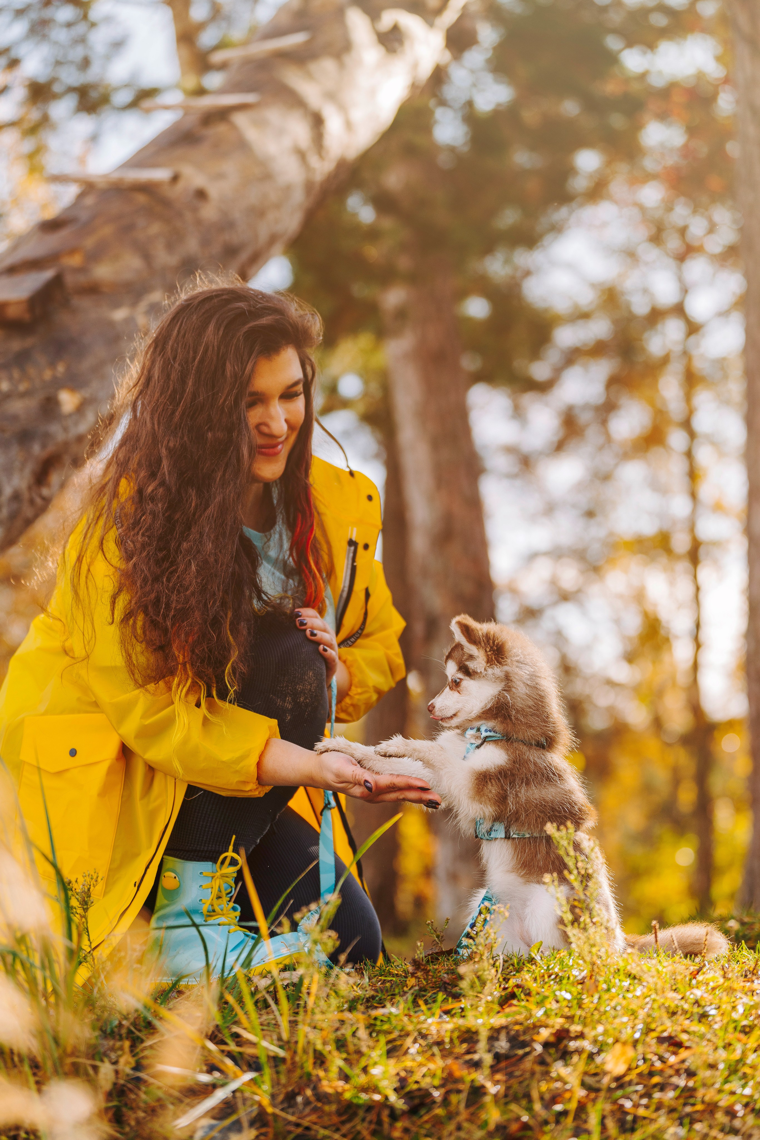 Катерина и Дрэка. Фотограф анималист в Спб недорого Олеся Майорова