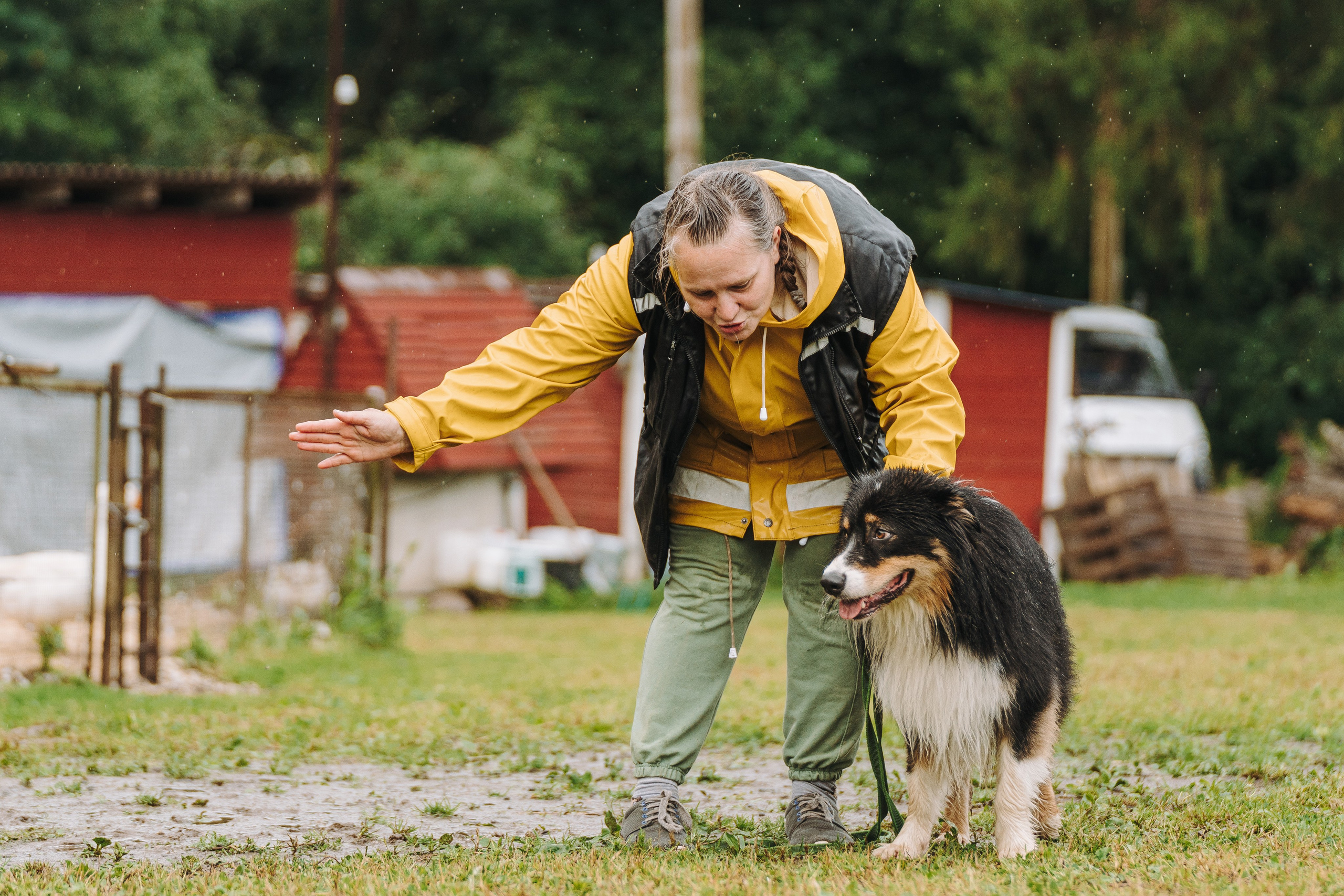 Соревнования по ноузворку в Новожилово. Фотограф анималист в Спб недорого Олеся Майорова