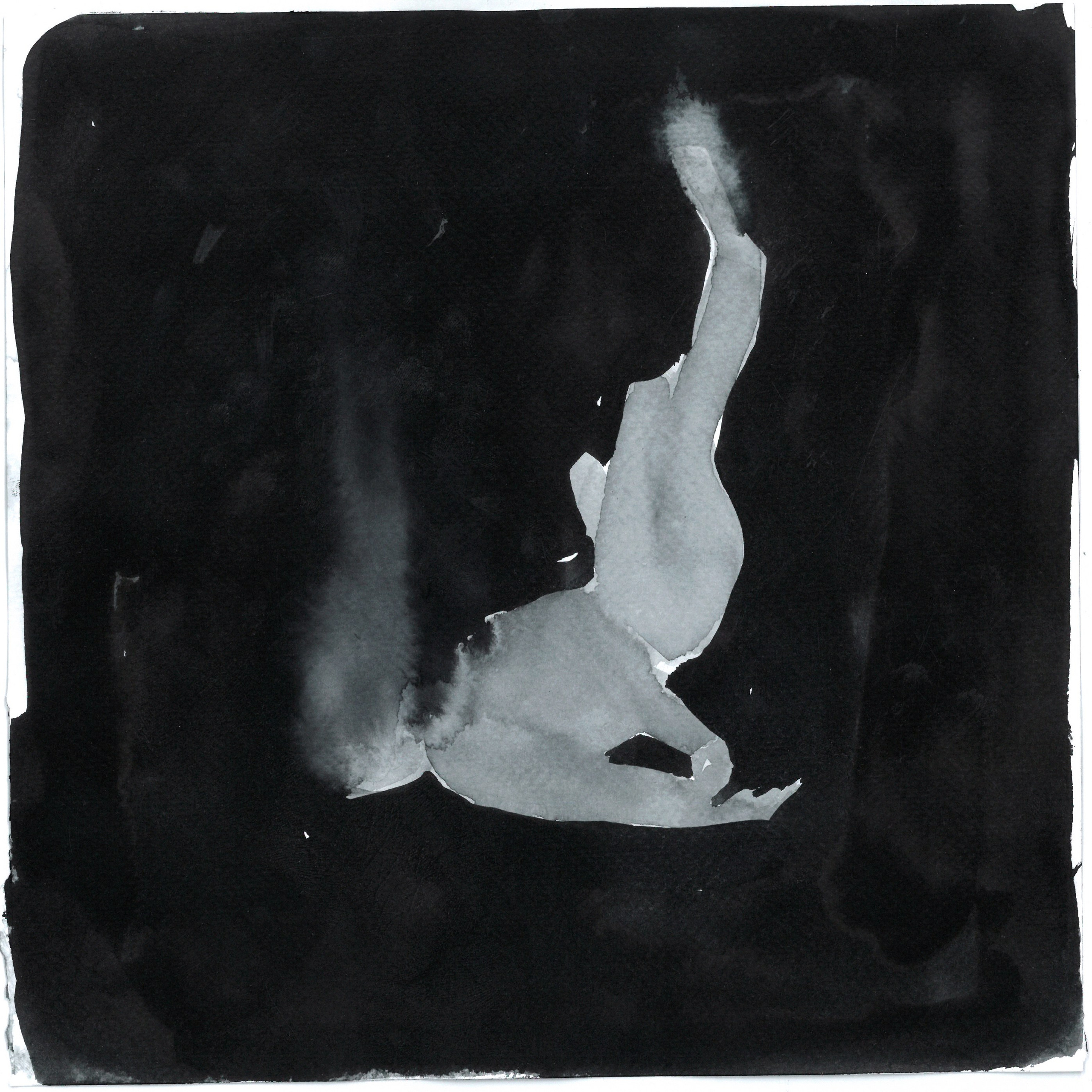 Ink Drawings. Portfolio Birdcrush