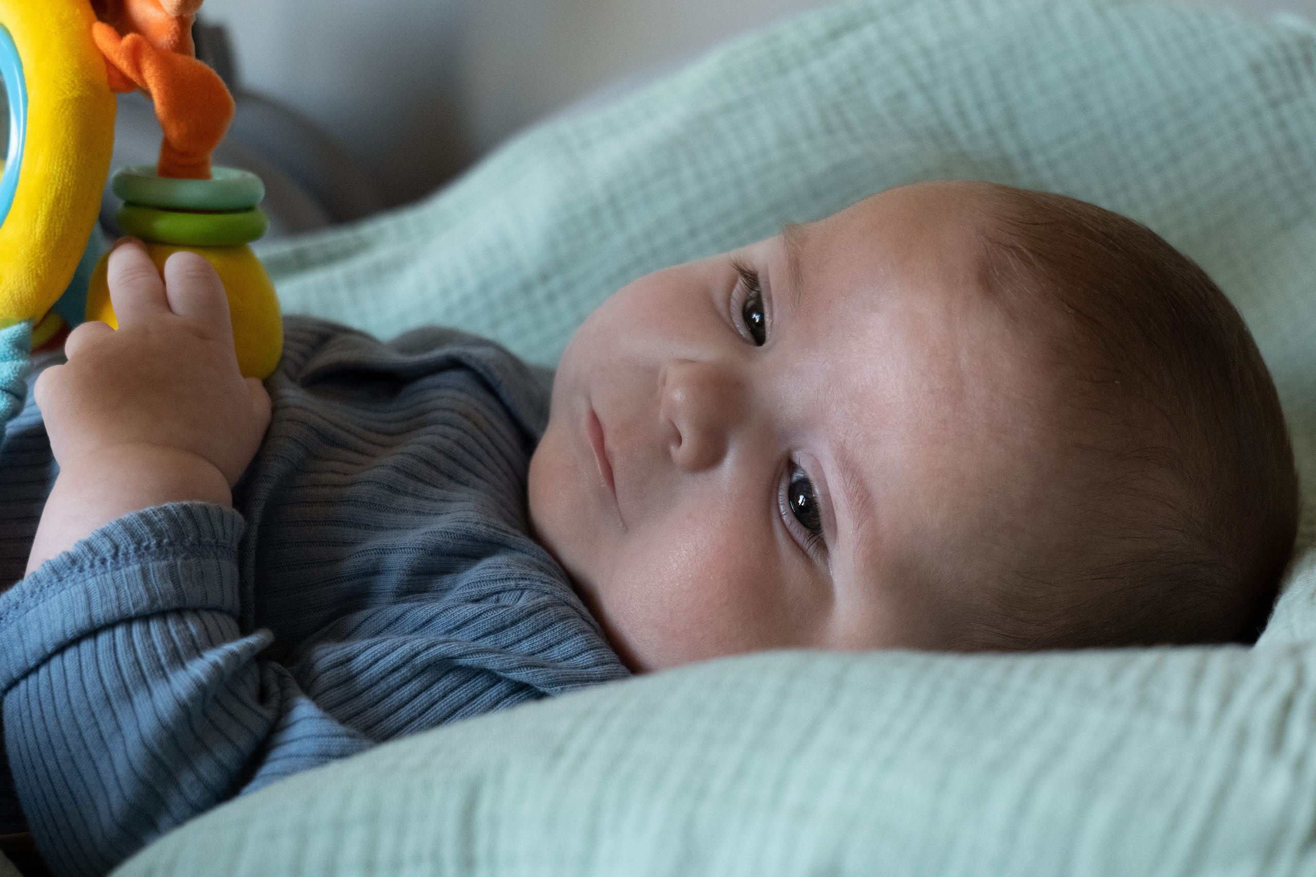 Материнские будни. Фотограф видеограф Ольга Василевская