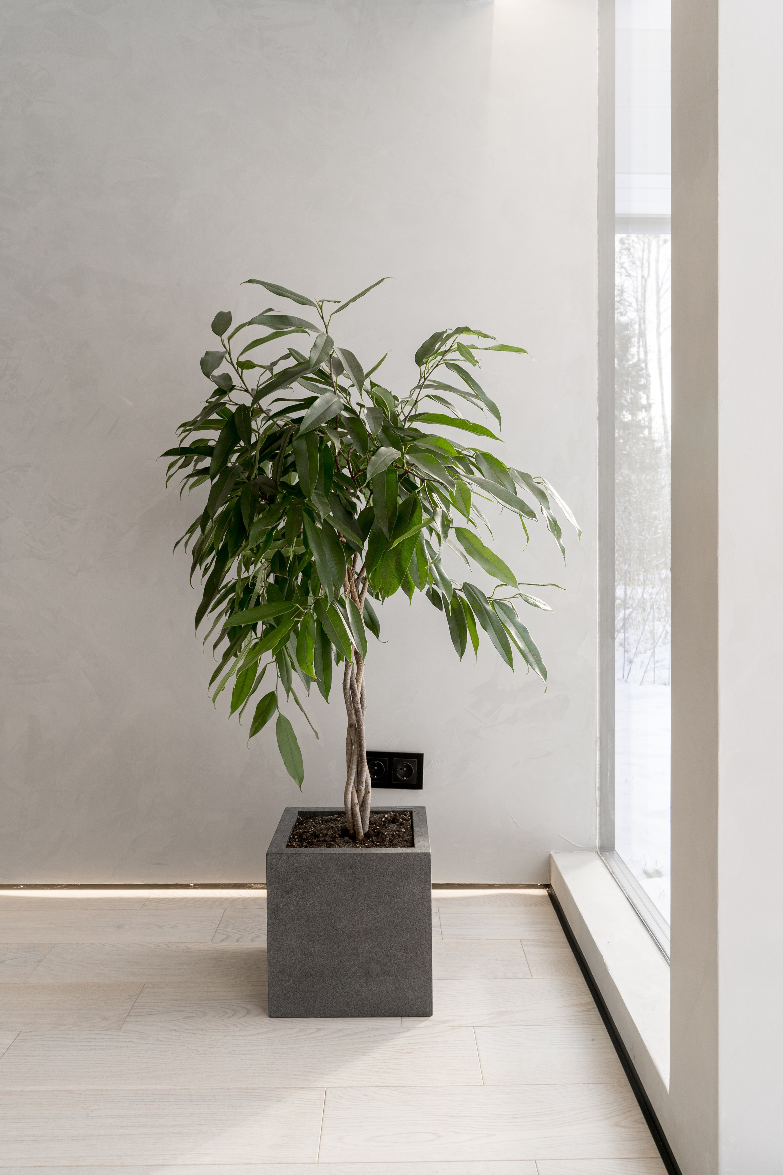 Авторские кухни премиум-класса — эксклюзивные решения | Prime Мебель. Prime Мебель — кухни на заказ от производителя в Москве и Московской области | Изготовление и дизайн