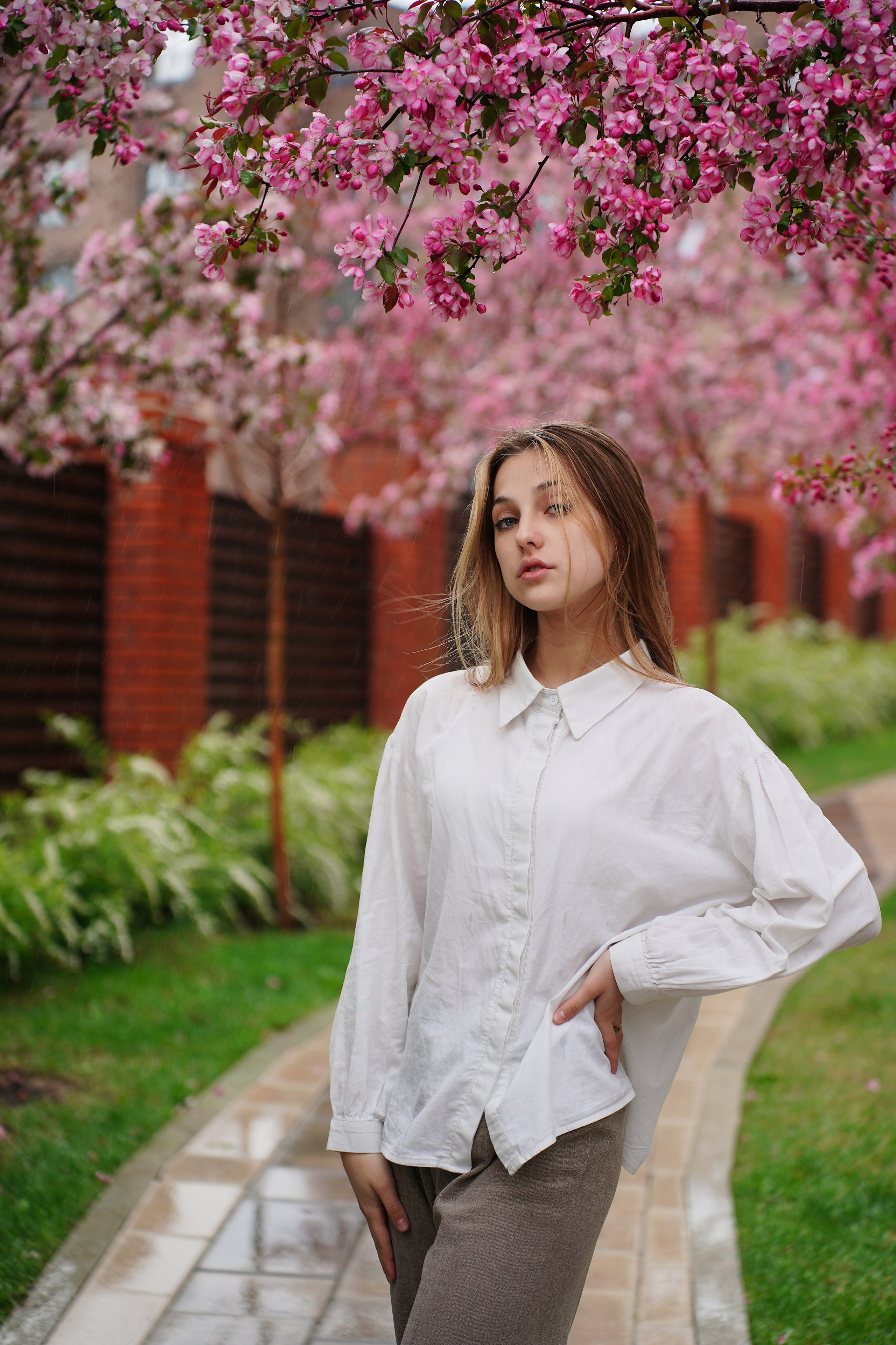 Оля Башкирская Сакура. Pupov.png