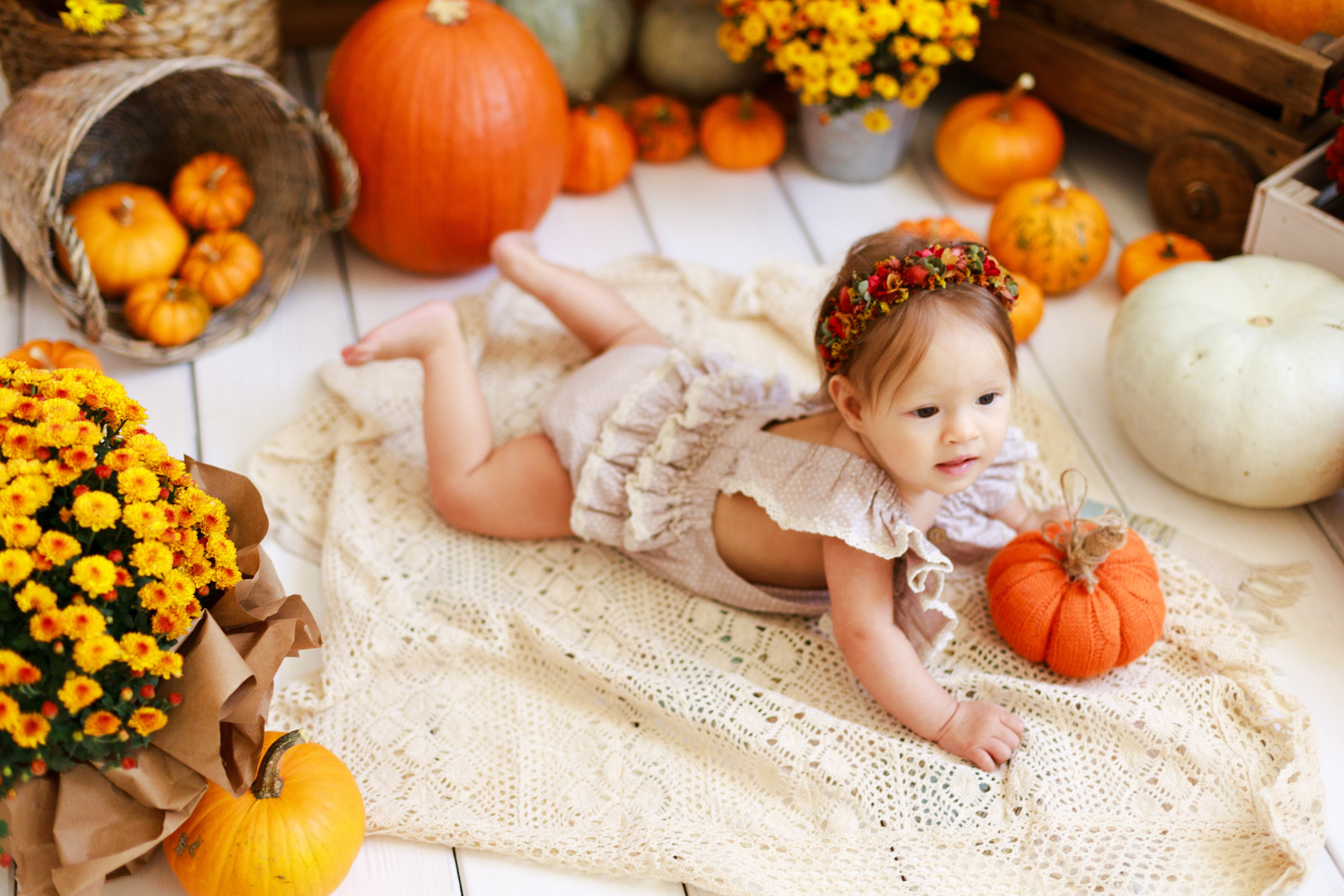 Осенняя детская фотосессия с тыквами и кроликом в Краснодаре. Детский и семейный фотограф в Краснодаре Альбина Морозова