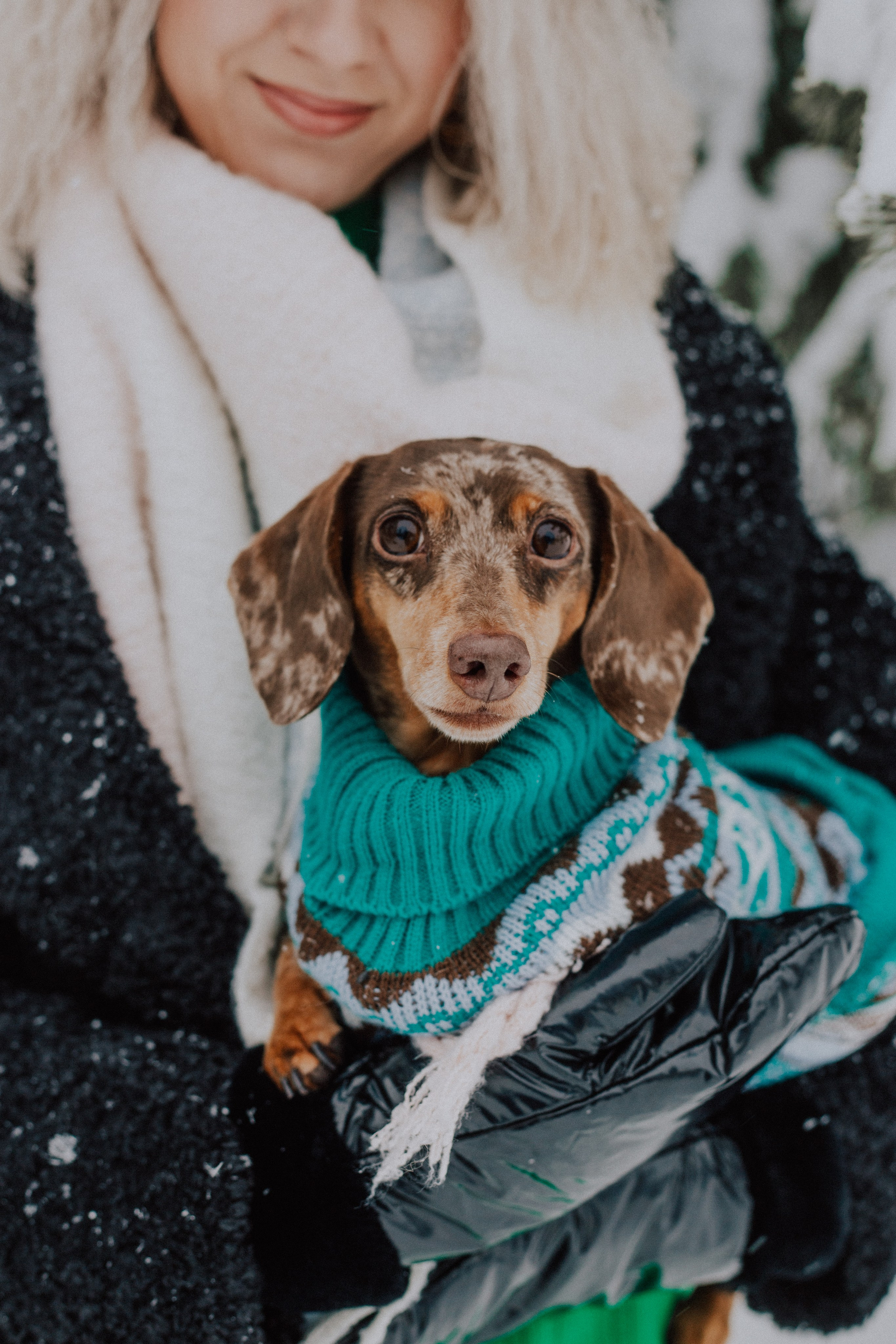 Winter. «A pet». Фотограф Москва / Балашиха