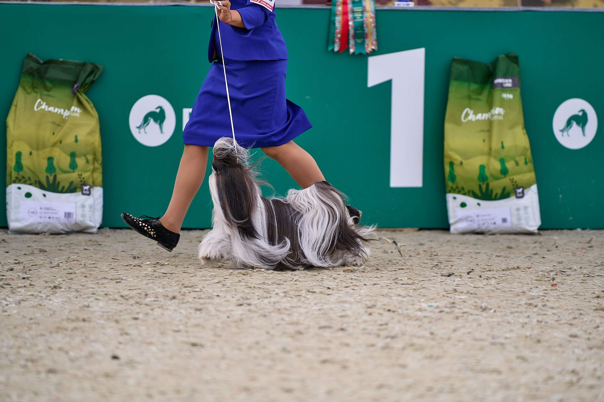 09.06.2024, «РОССИЯ. КУБОК МОСКВЫ 2024 & КУБОК ГОРОДОВ-ГЕРОЕВ»