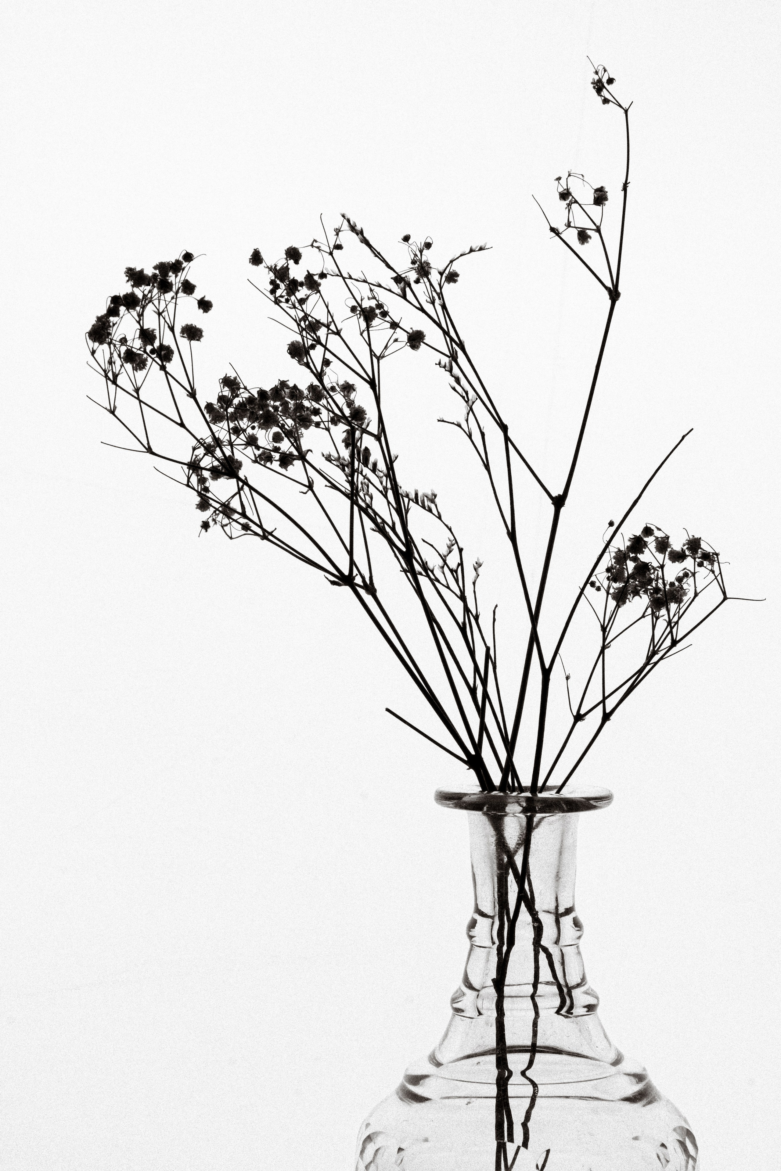 Натюрморты. Фотограф и оператор в Москве Елизавета Коргалидзе