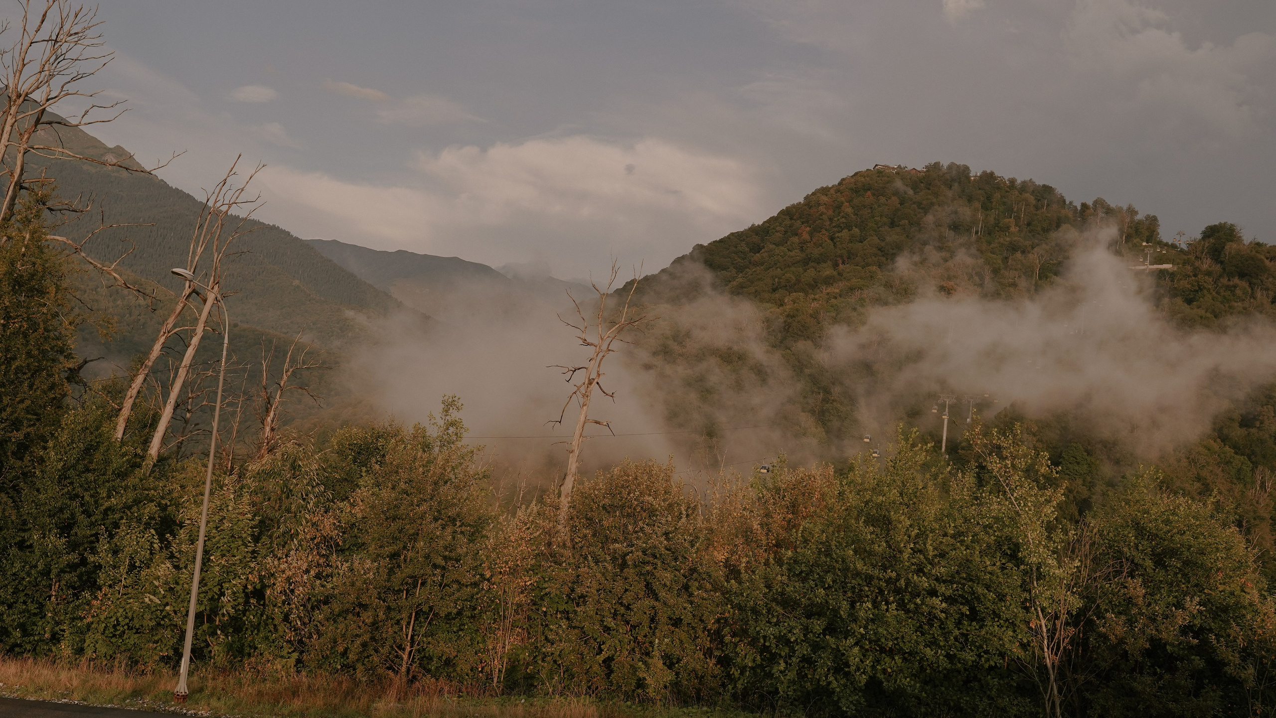 «Коготь». Милана Довгаль - семейный фотограф и видеограф  в Адлере и Сочи