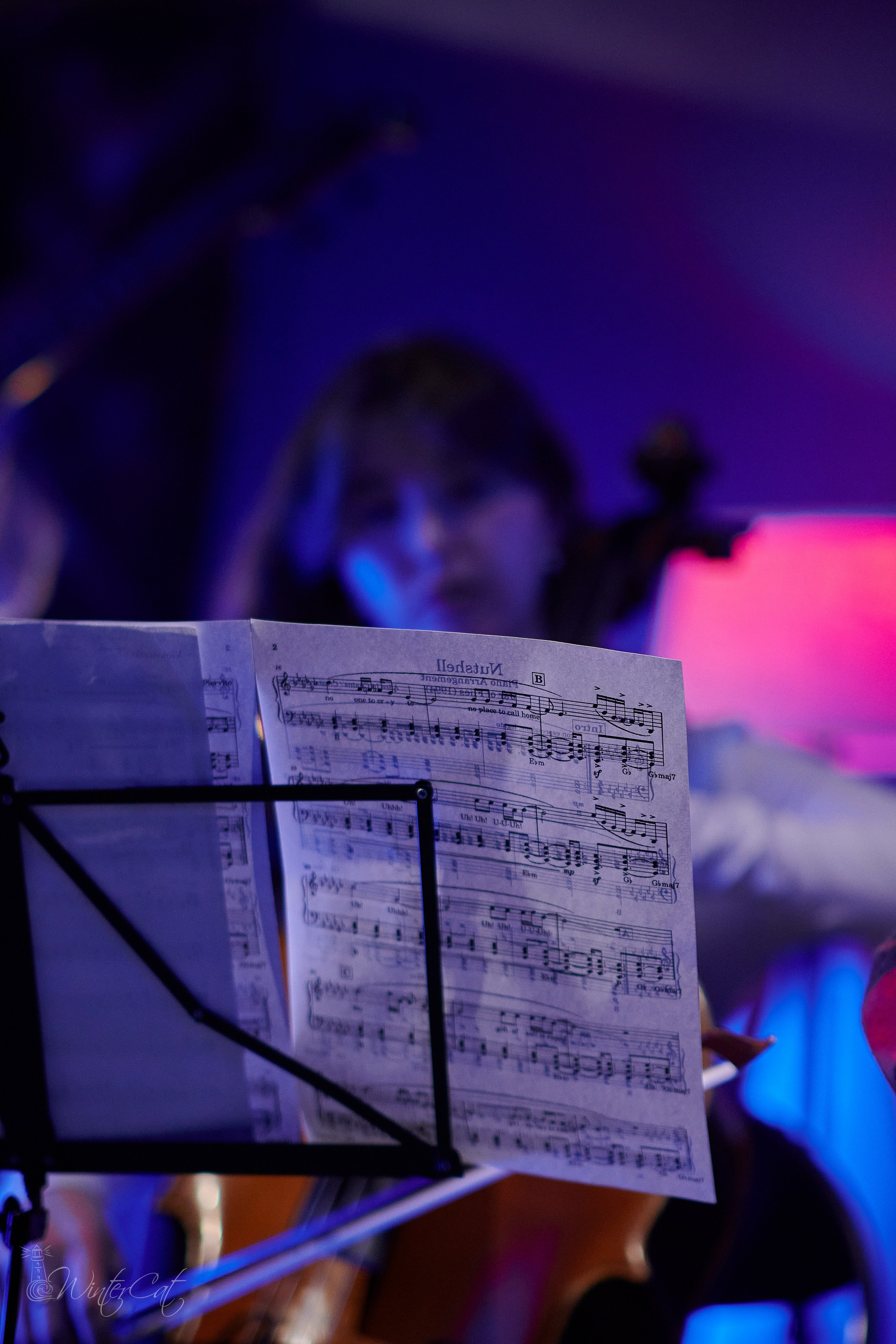 Фестиваль Крик (музей). Портретный и репортажный фотограф в Магадане Андрей Нефедов WinterCatPhoto