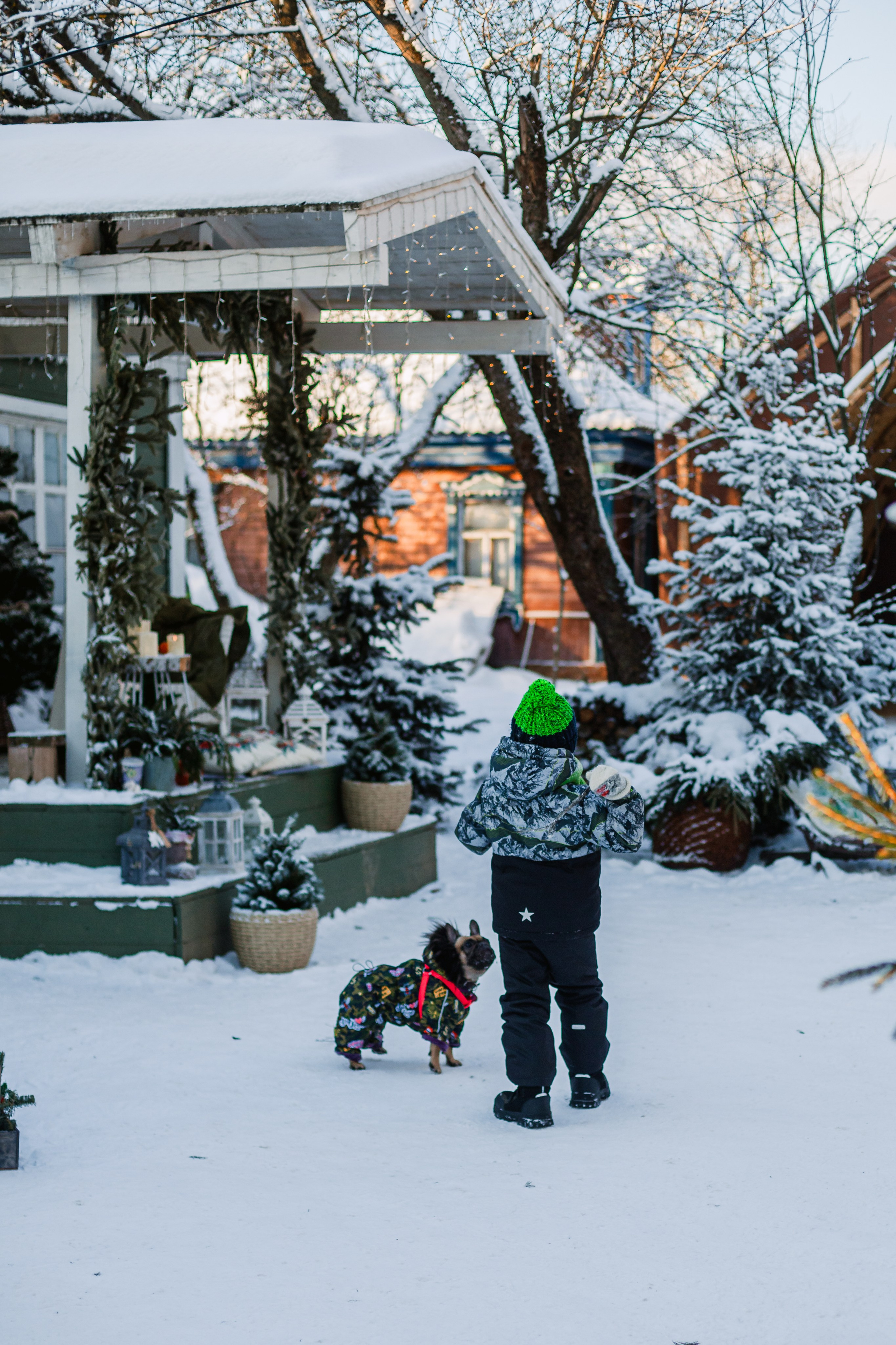 Зингер дача. Фотограф-анималист Татьяна Степанова