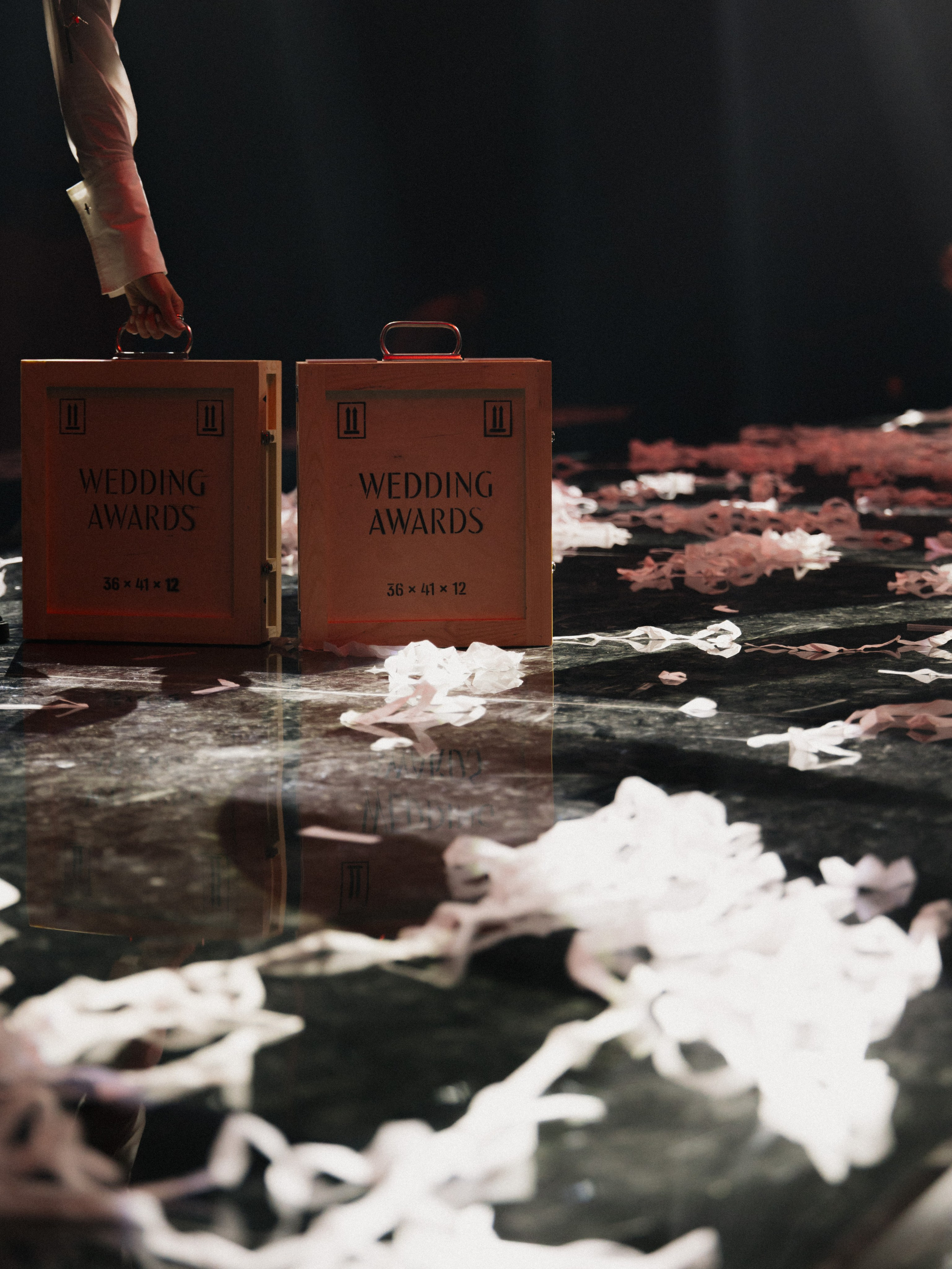 WEDDING AWARDS RUSSIA 2024. Свадебный фотограф Москва Ирина Писарева