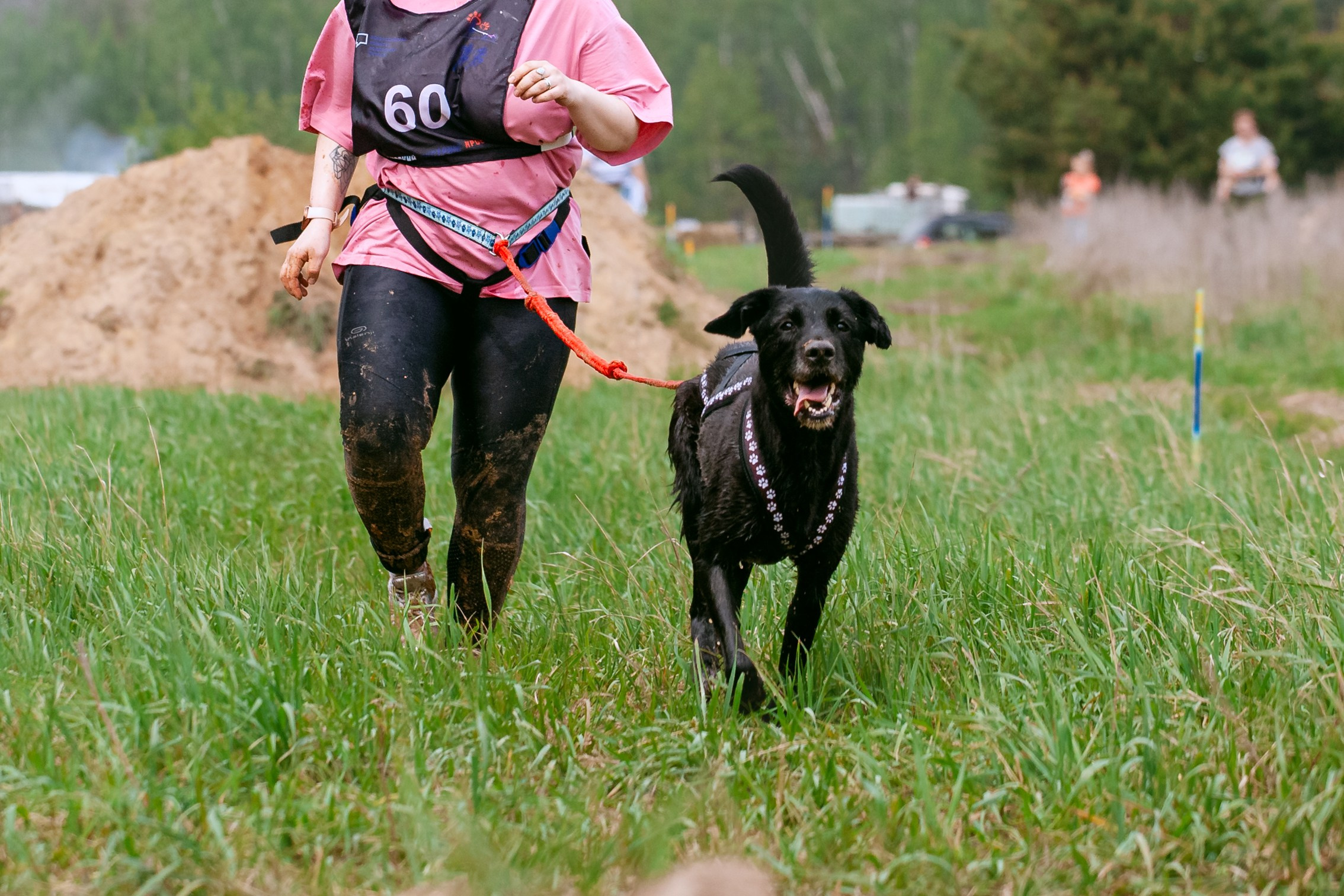 Русский экстрим кросс в Рязанской области 17.05.2025. Фотограф-анималист Татьяна Степанова