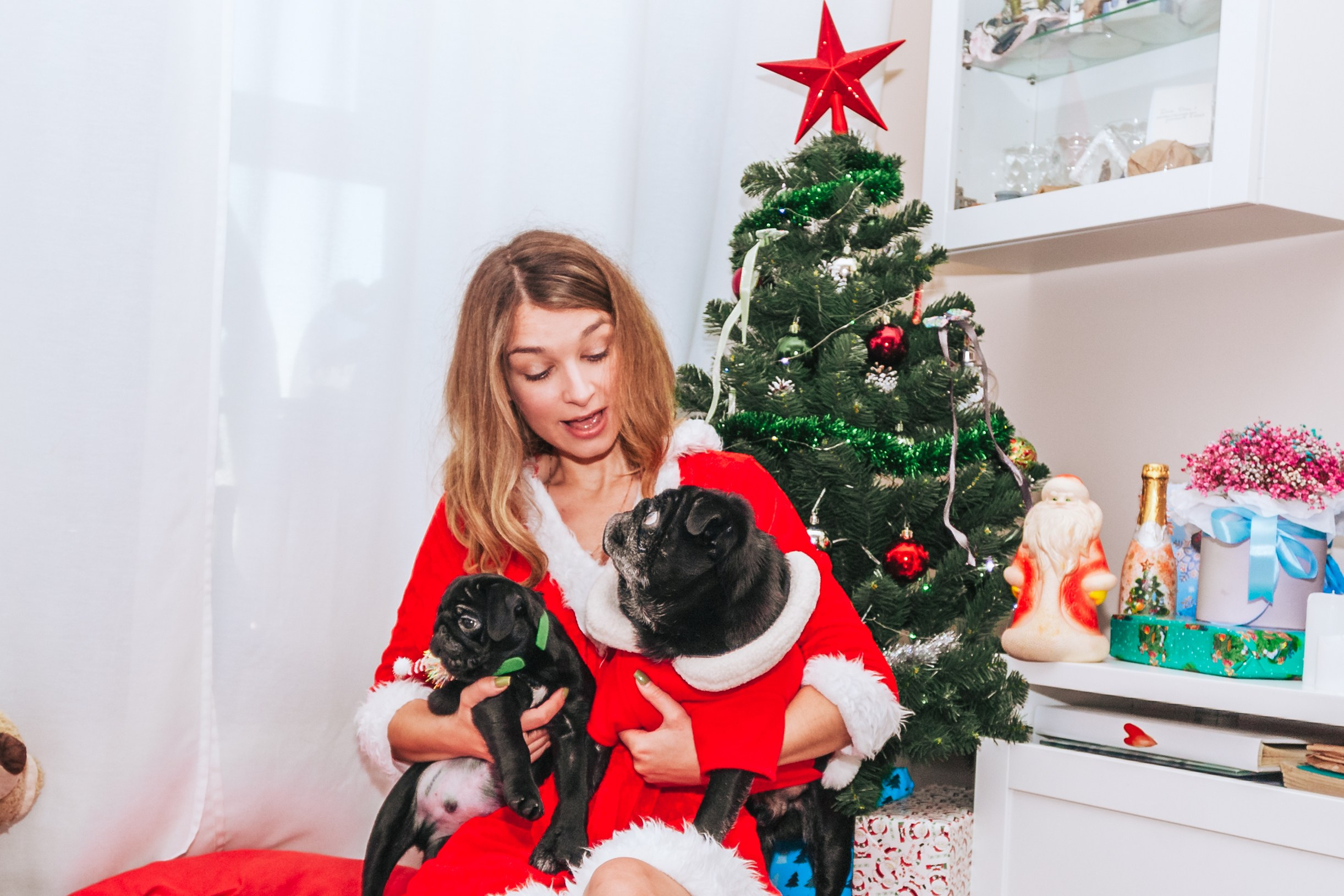 Домашняя фотосессия Оли и двух ее мопсов. Фотограф-анималист Татьяна Степанова
