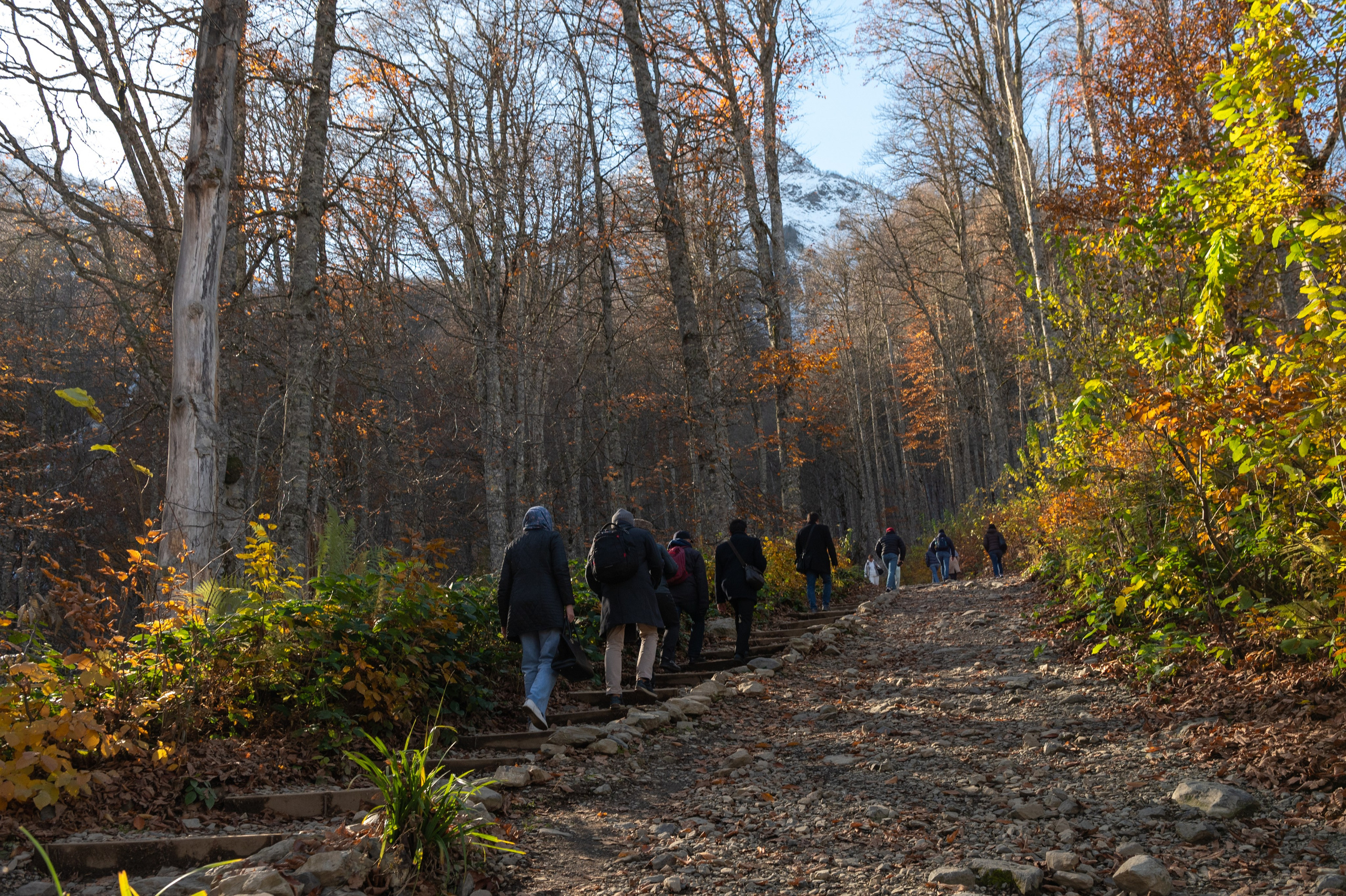 Mice мероприятие — прогулка на водопад Поликаря на курорте Красная Поляна. Репортажный фотограф в Красной Поляне и Сочи Павлюченко Екатерина