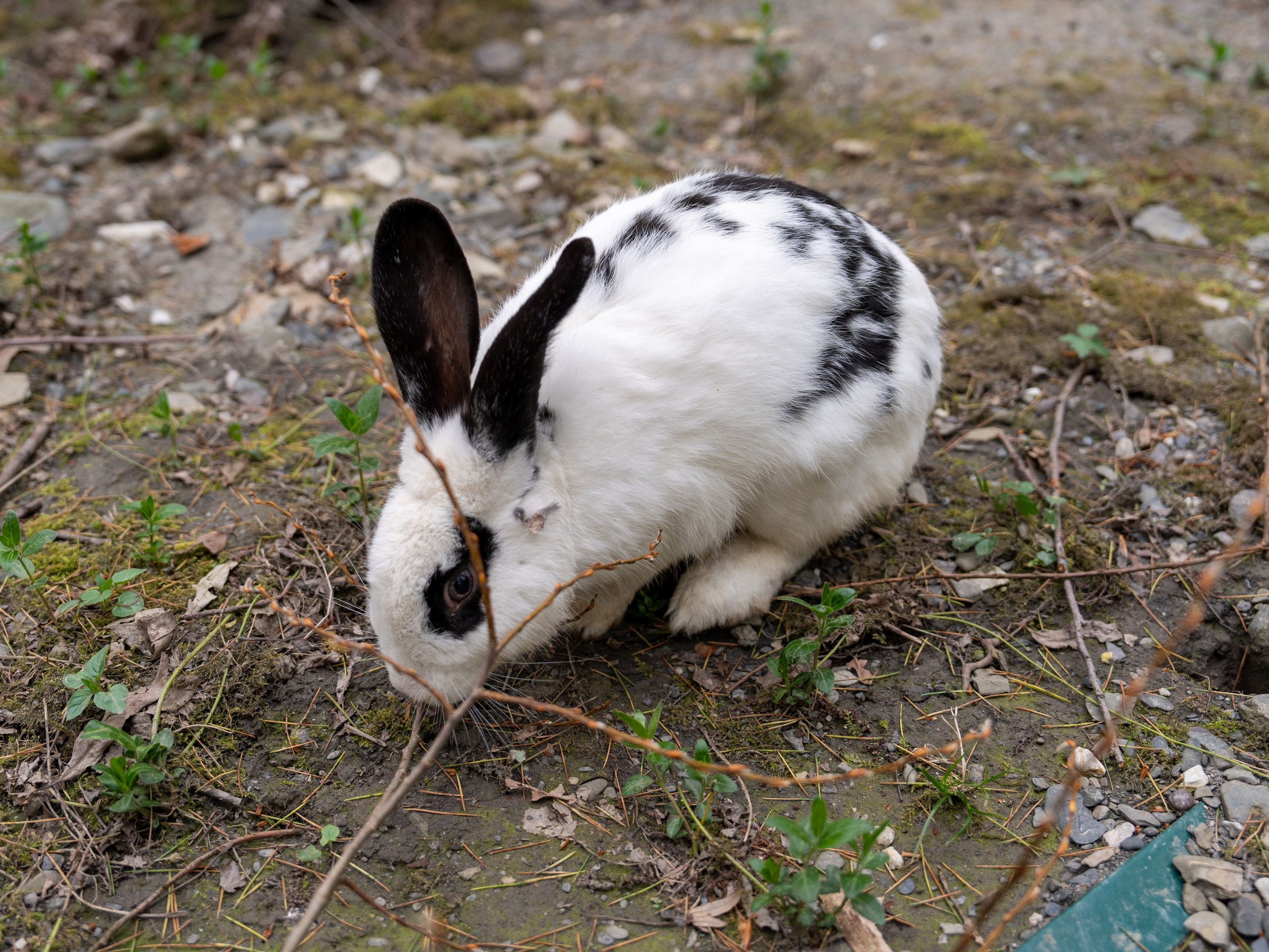 MICE мероприятие — джиппинг на каньон Псахо. Репортажный фотограф в Красной Поляне и Сочи Павлюченко Екатерина