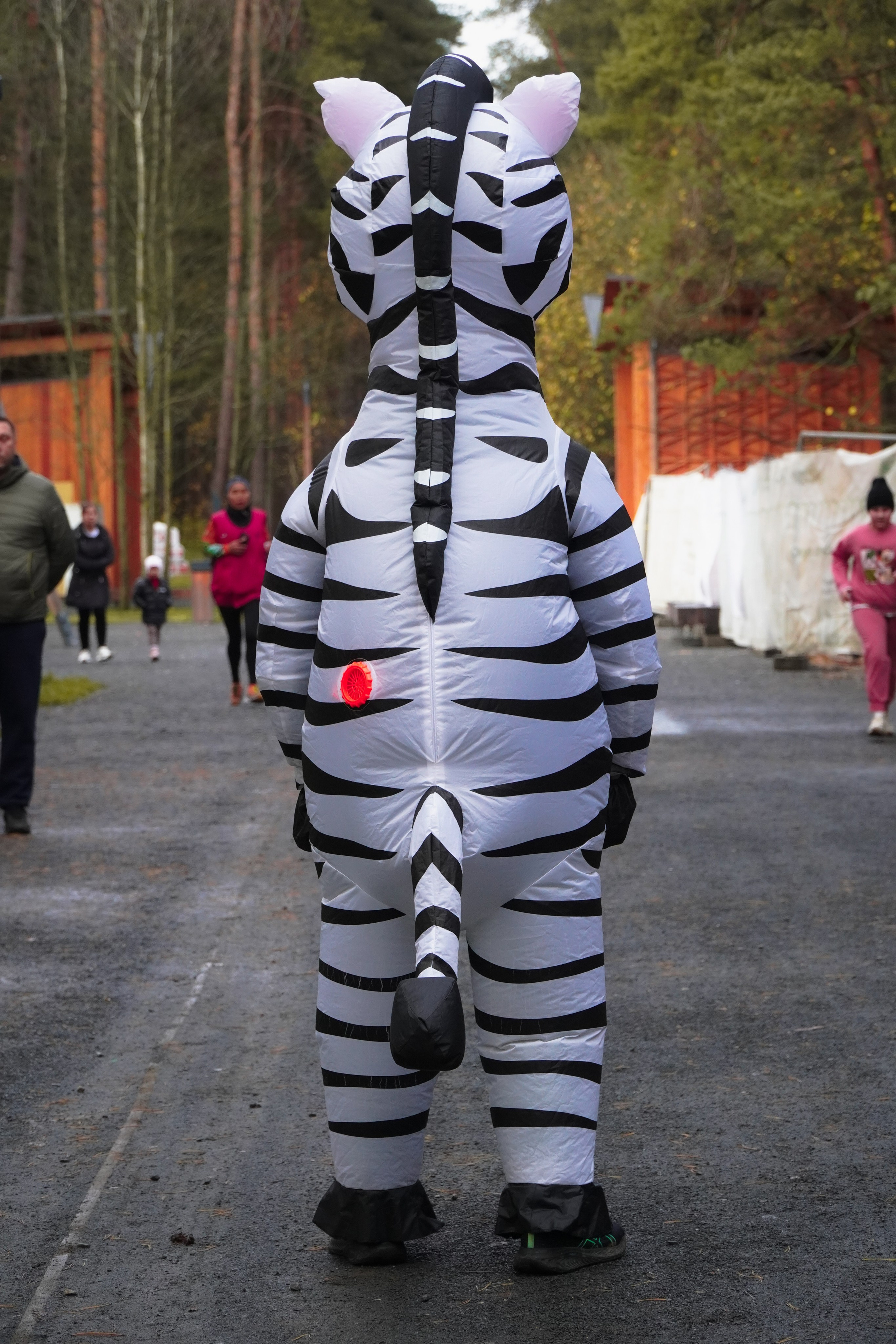 5 вёрст Томилинский 3 года 18 октября 2025. Роман Капилюшов. Бег. Фото. Видео. г. Люберцы