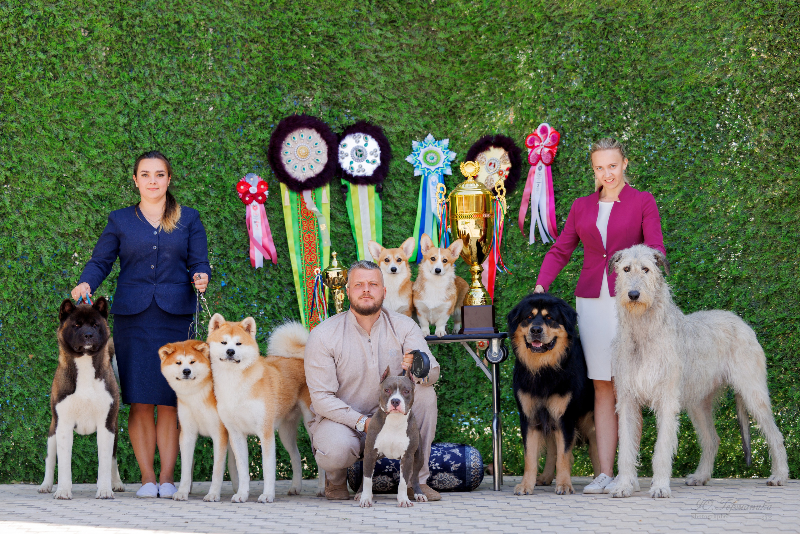 Ташкент 3хCACIB 3-5.10.2025. Фотограф-анималист Юлия Германика