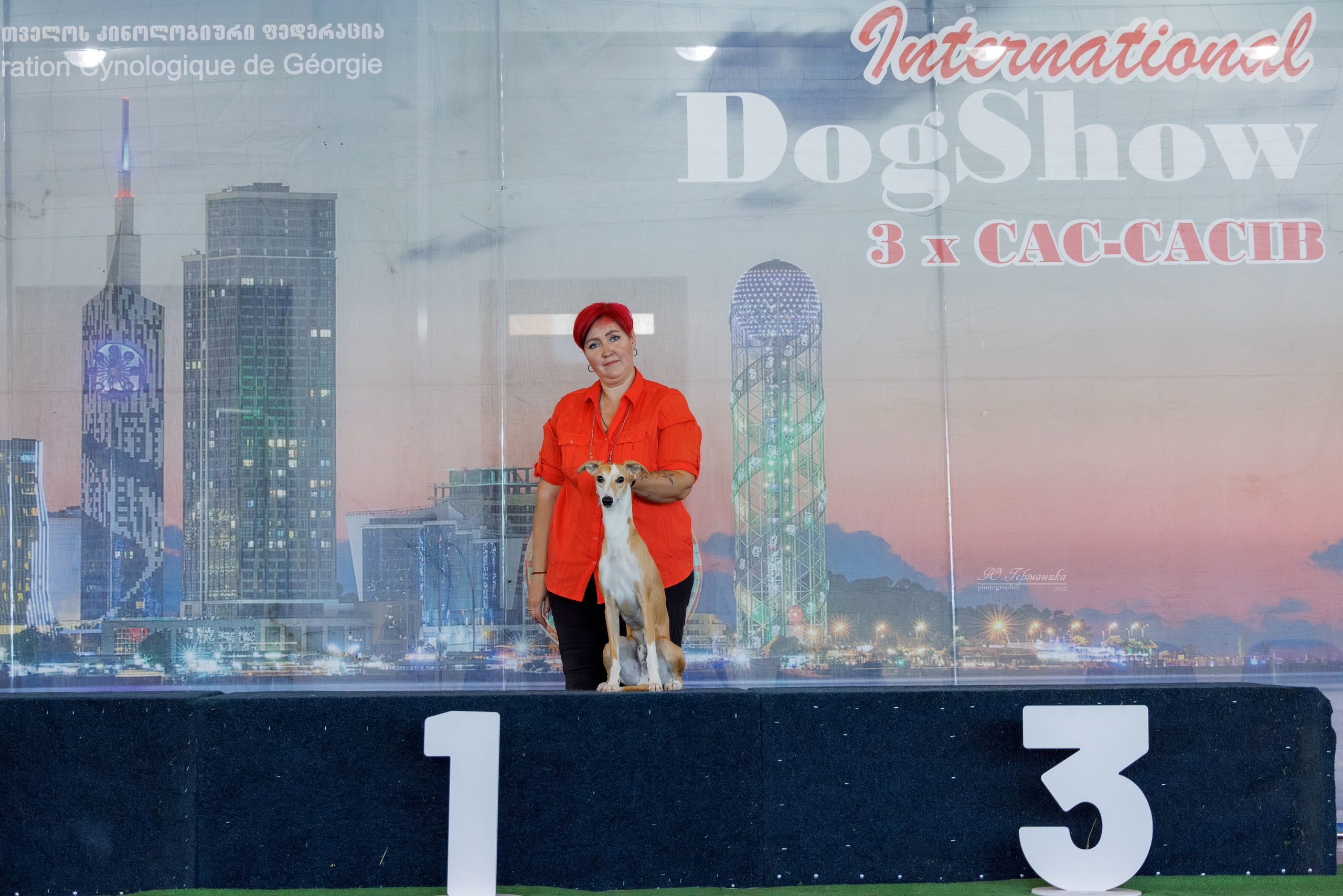 Батуми 3хCACIB 27-29.06.2025. Фотограф-анималист Юлия Германика