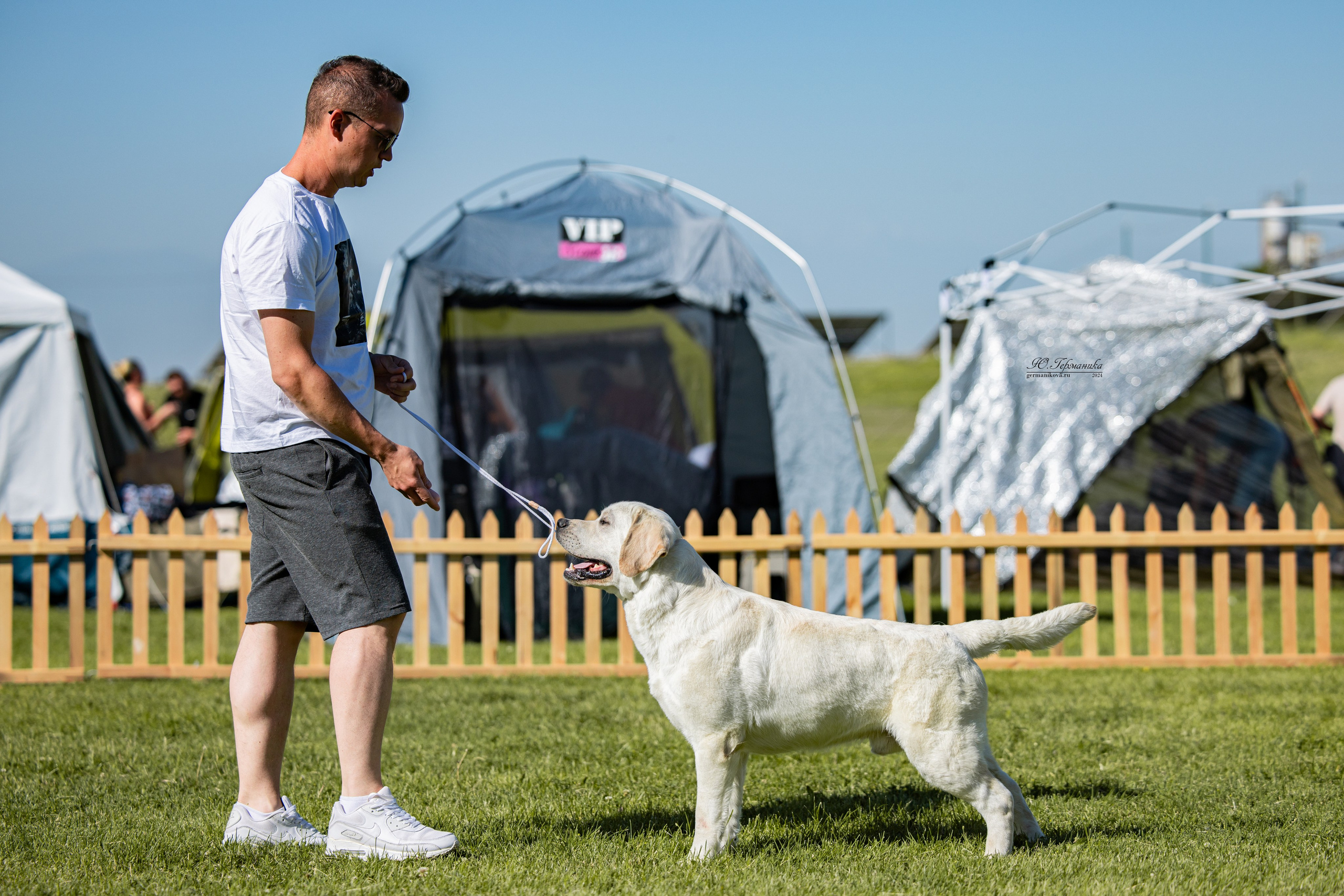 Ереван 3-5.06.2024. Фотограф-анималист Юлия Германика