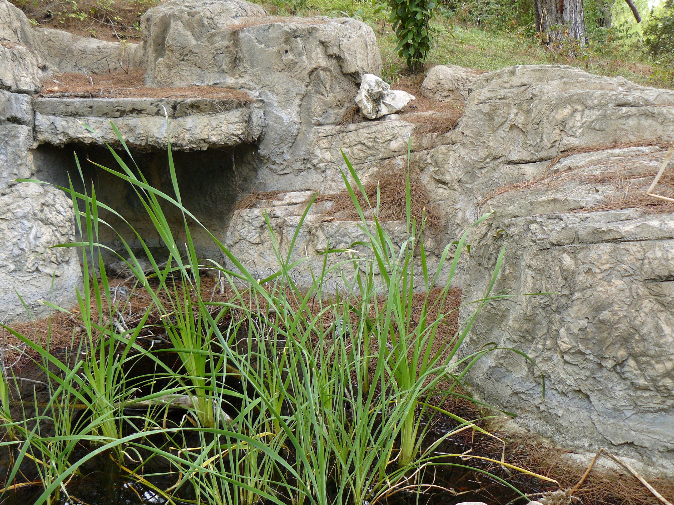 Кемер, Чамьюва 2008. Избранные фотографии