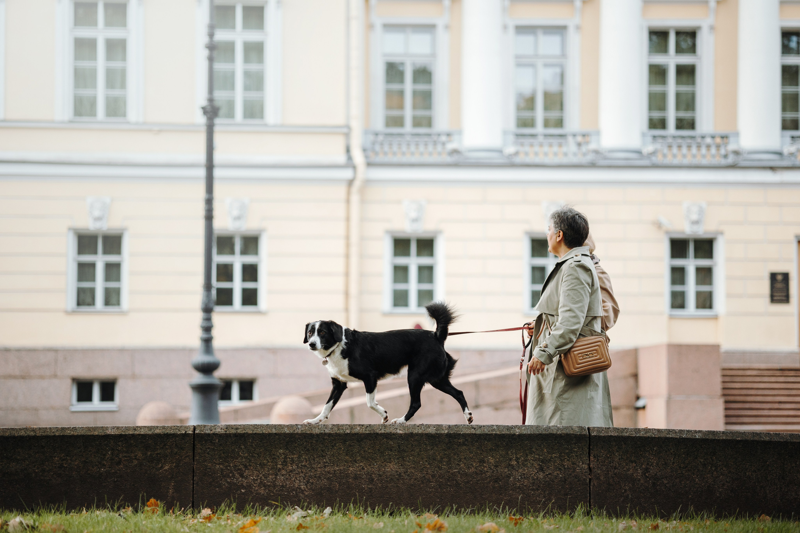 Мишель и ее семья. Фотограф — Анималист | Санкт-Петербург