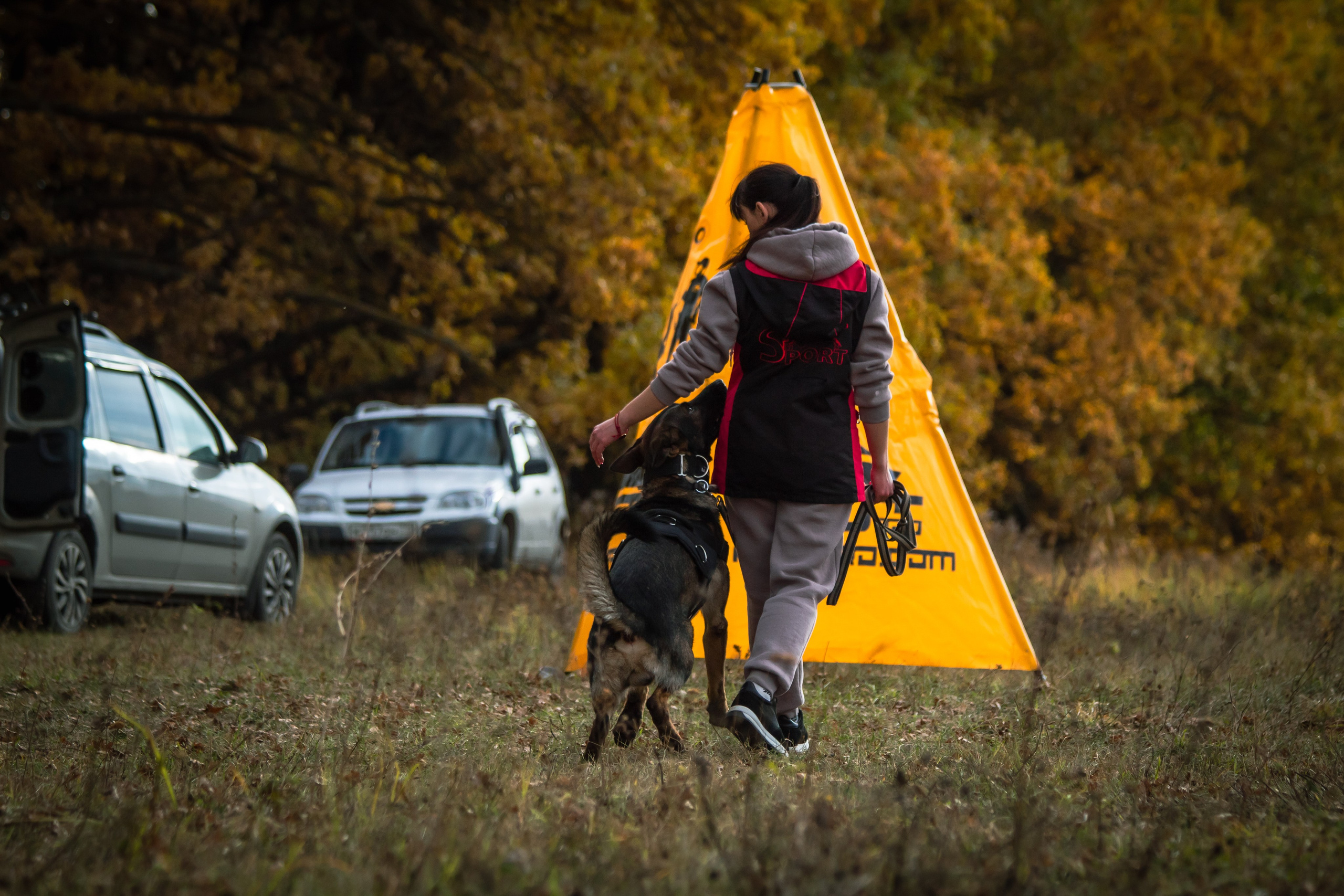 Тренинг защитного раздела. Фотограф анималист — Тула, Москва