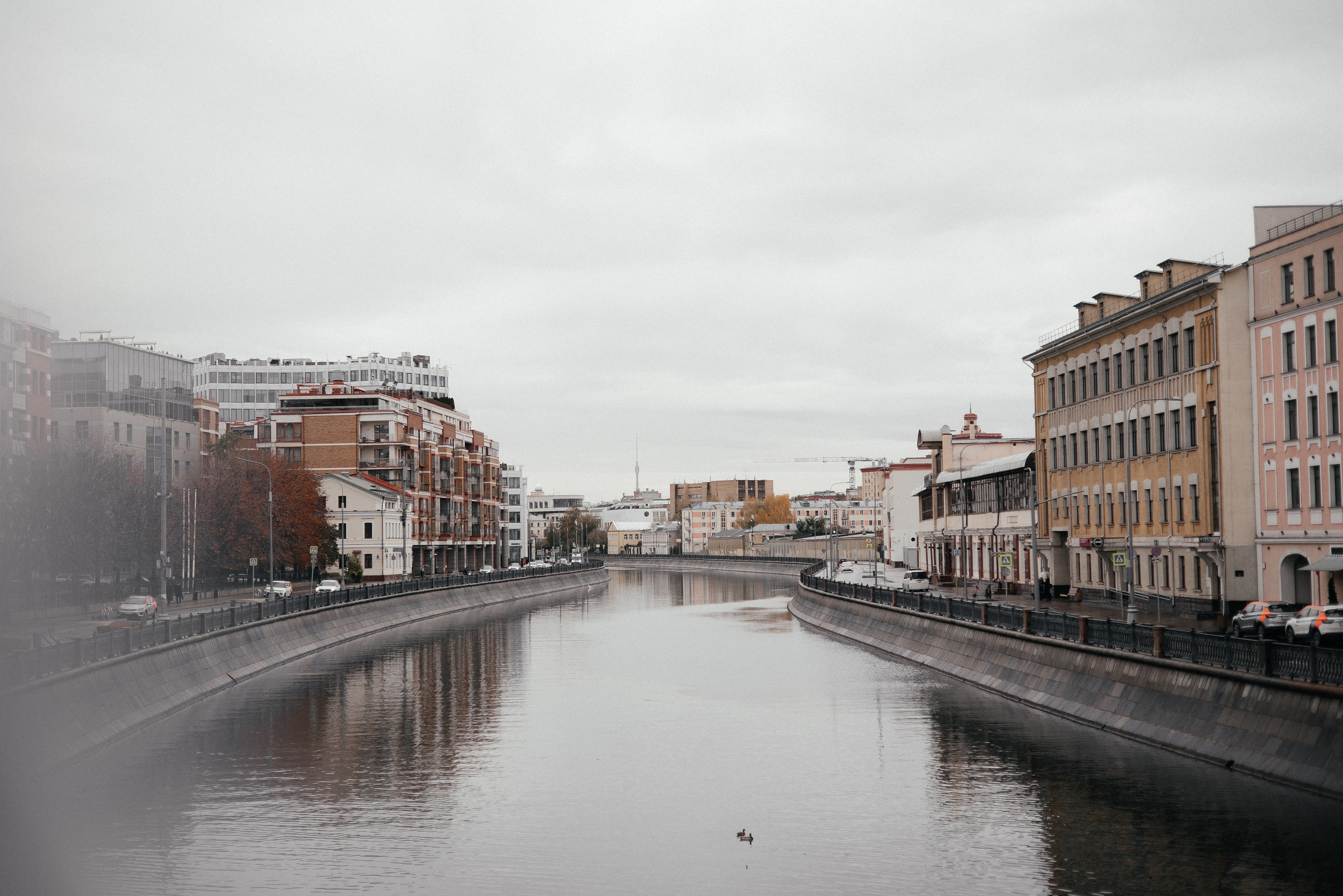 Даниил & Анна (почасовая съёмка, 2 часа). ФОТОГРАФ РОЗА ФИЛИНА СПб I МОСКВА