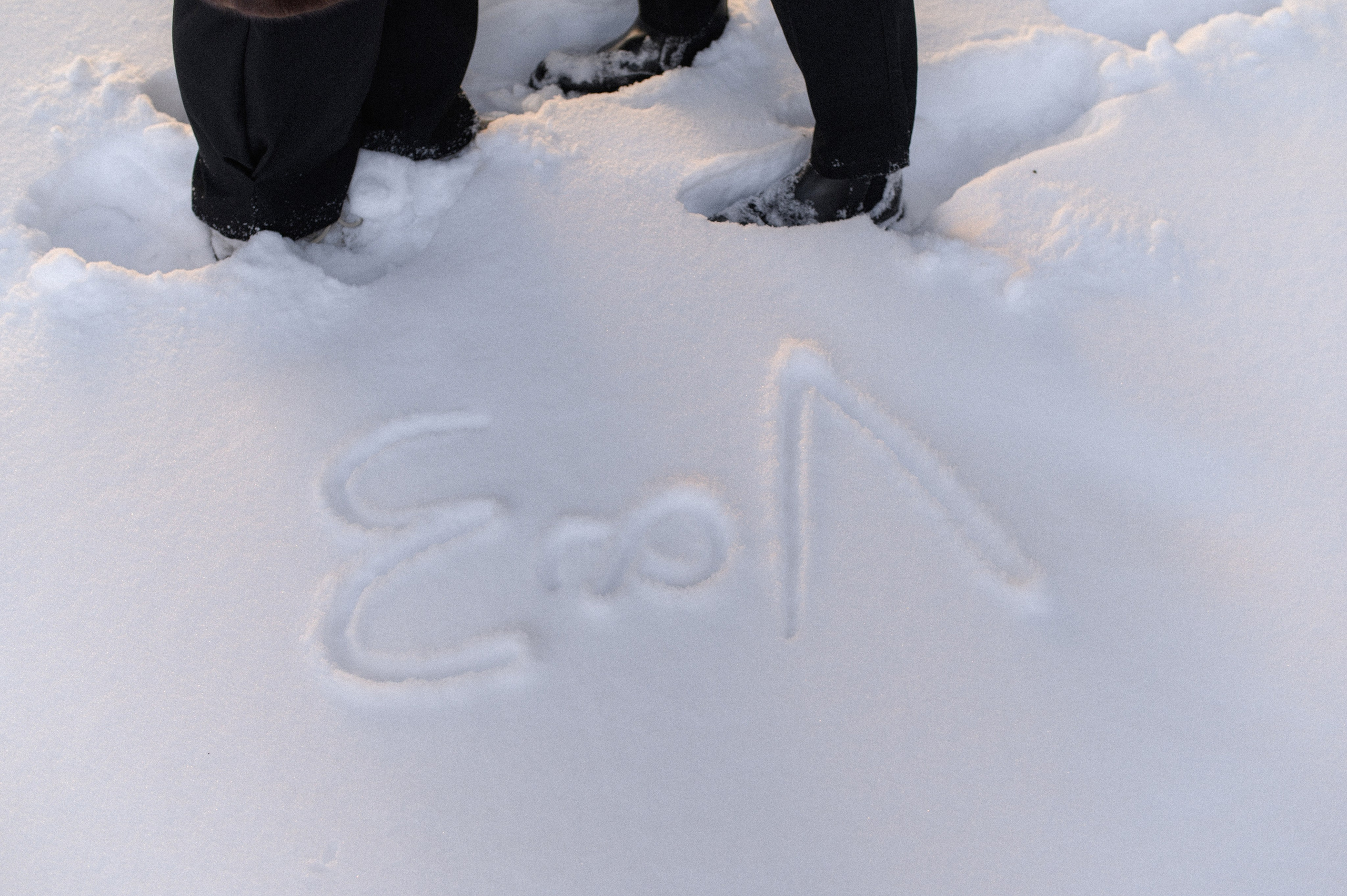 Лия & Егор. Марина Шуляк Фотограф Кострома — Санкт Петербург