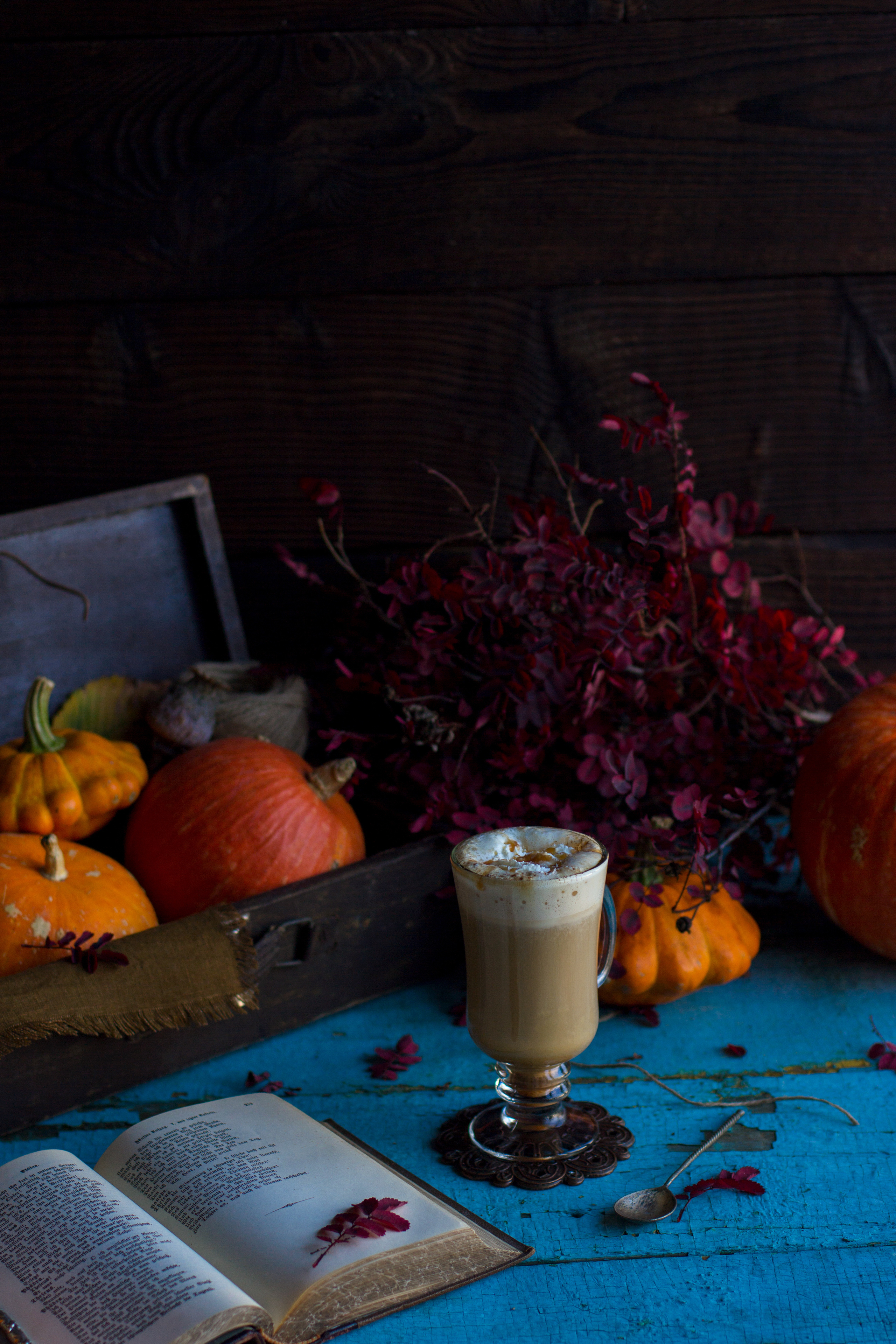 Мяу. Фуд и предметный фотограф