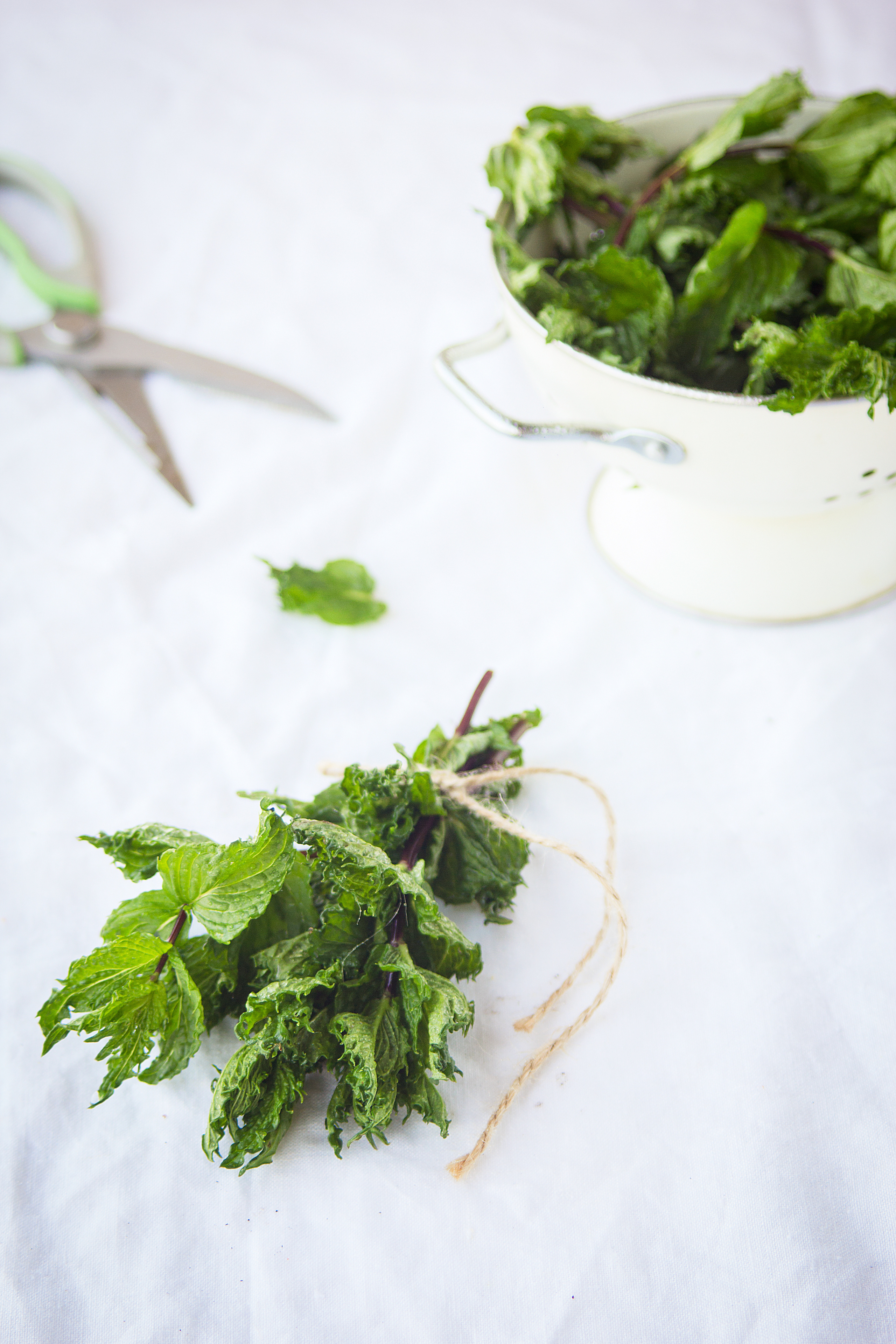 Мяу. Фуд и предметный фотограф