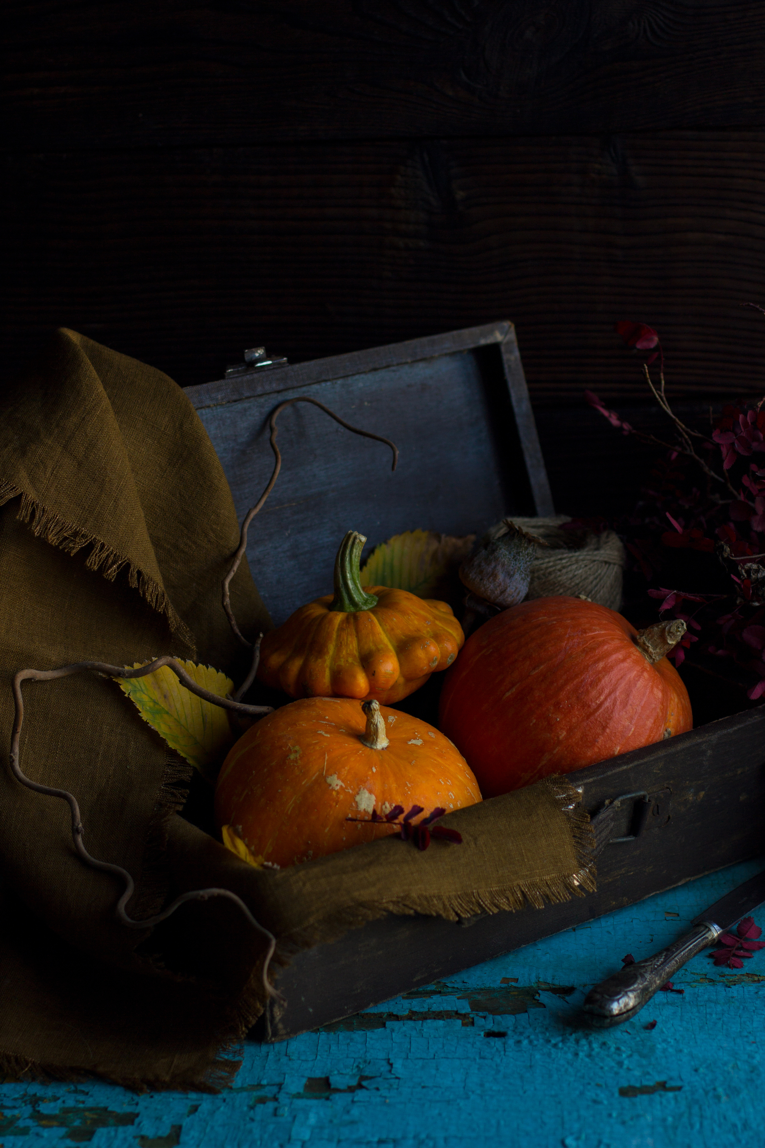 Мяу. Фуд и предметный фотограф