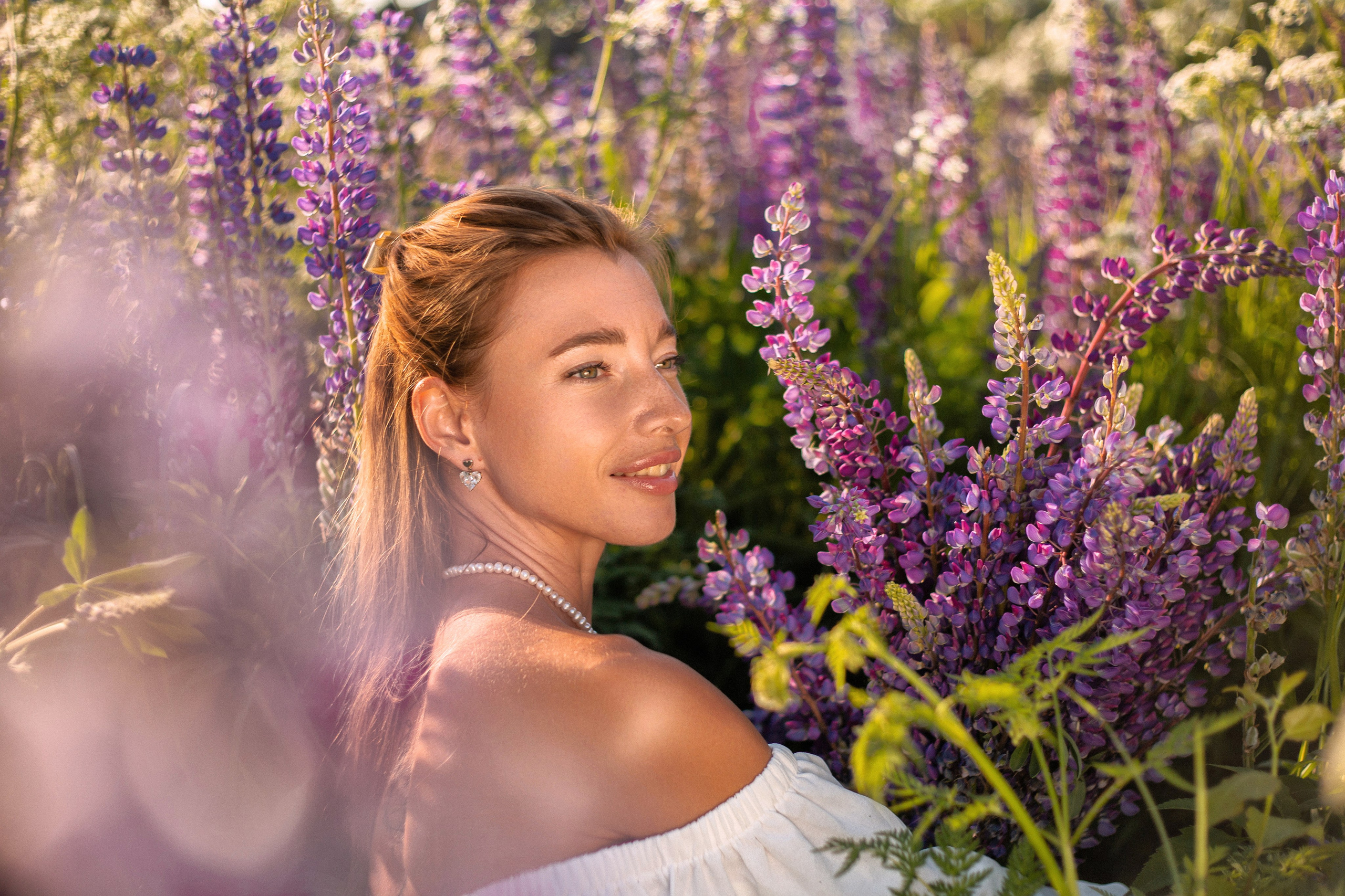 Люпины. Фотограф Москва / Балашиха
