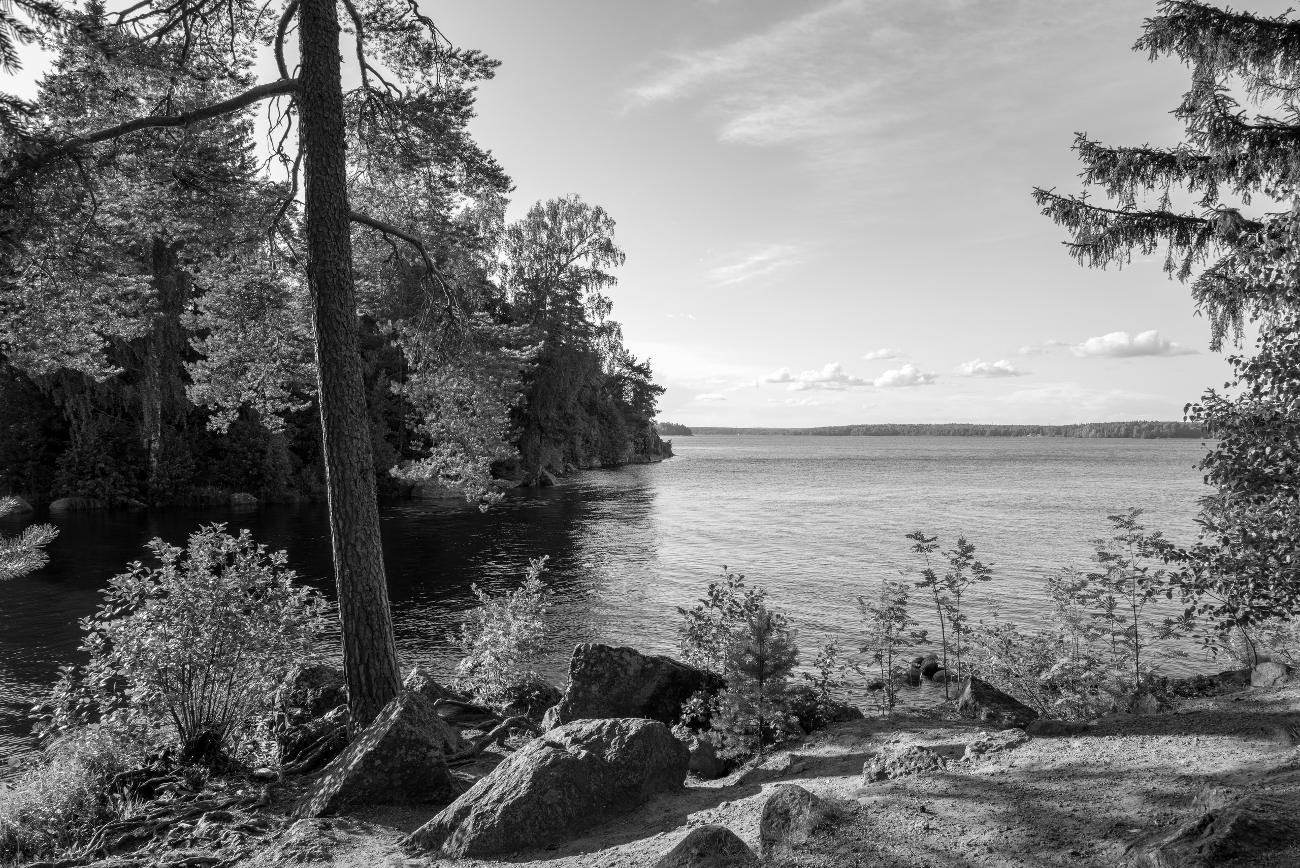 Парк Монрепо под Выборгом