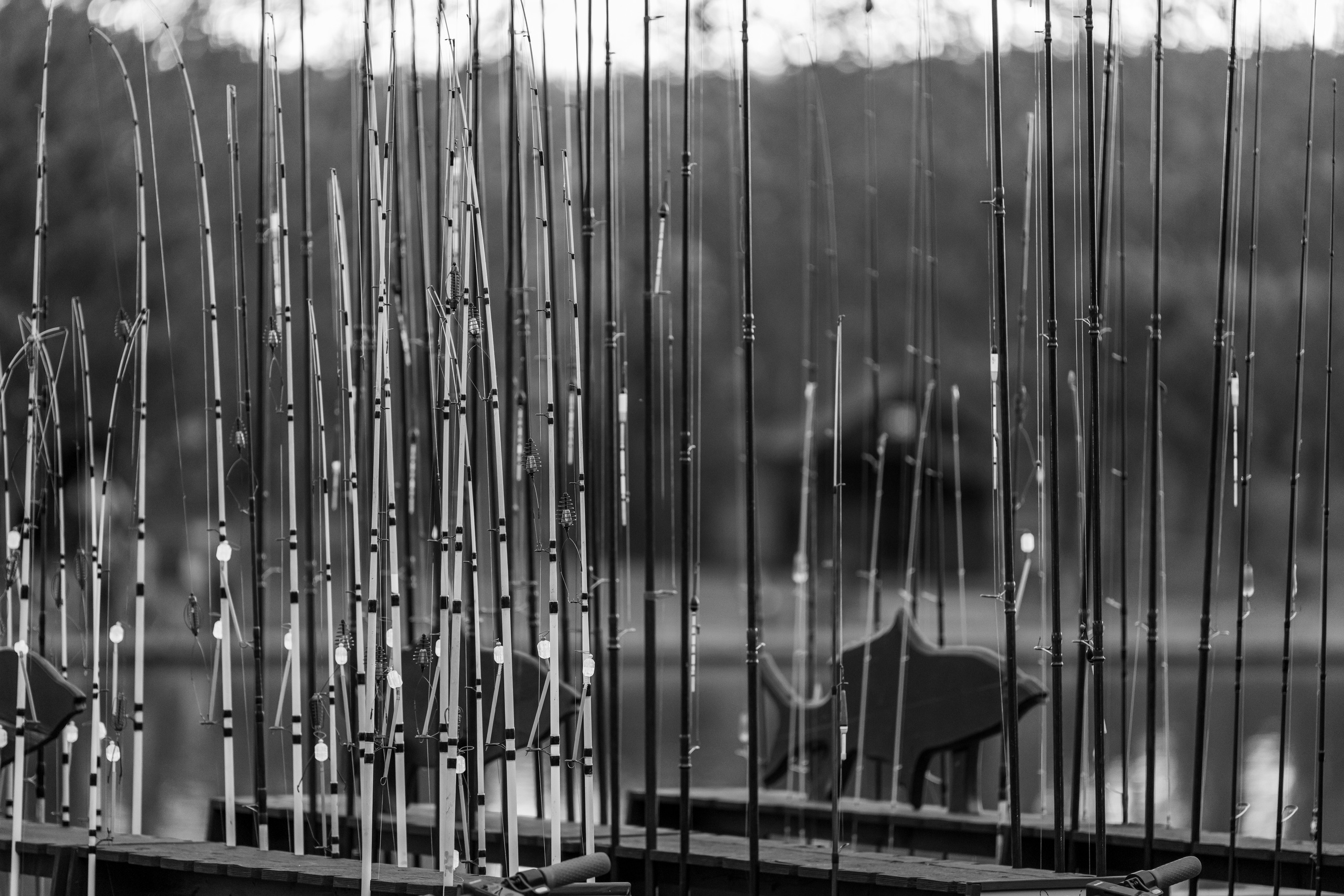 Стоящие удочки на берегу